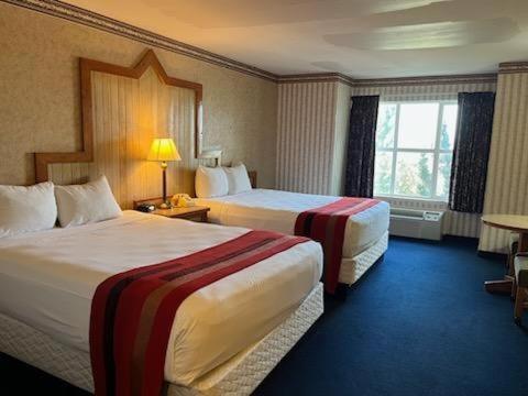 Horseshu Hotel Two Queen - Across the Street from Cactus Petes Resort Casino (No Resort Fee) photo 1
