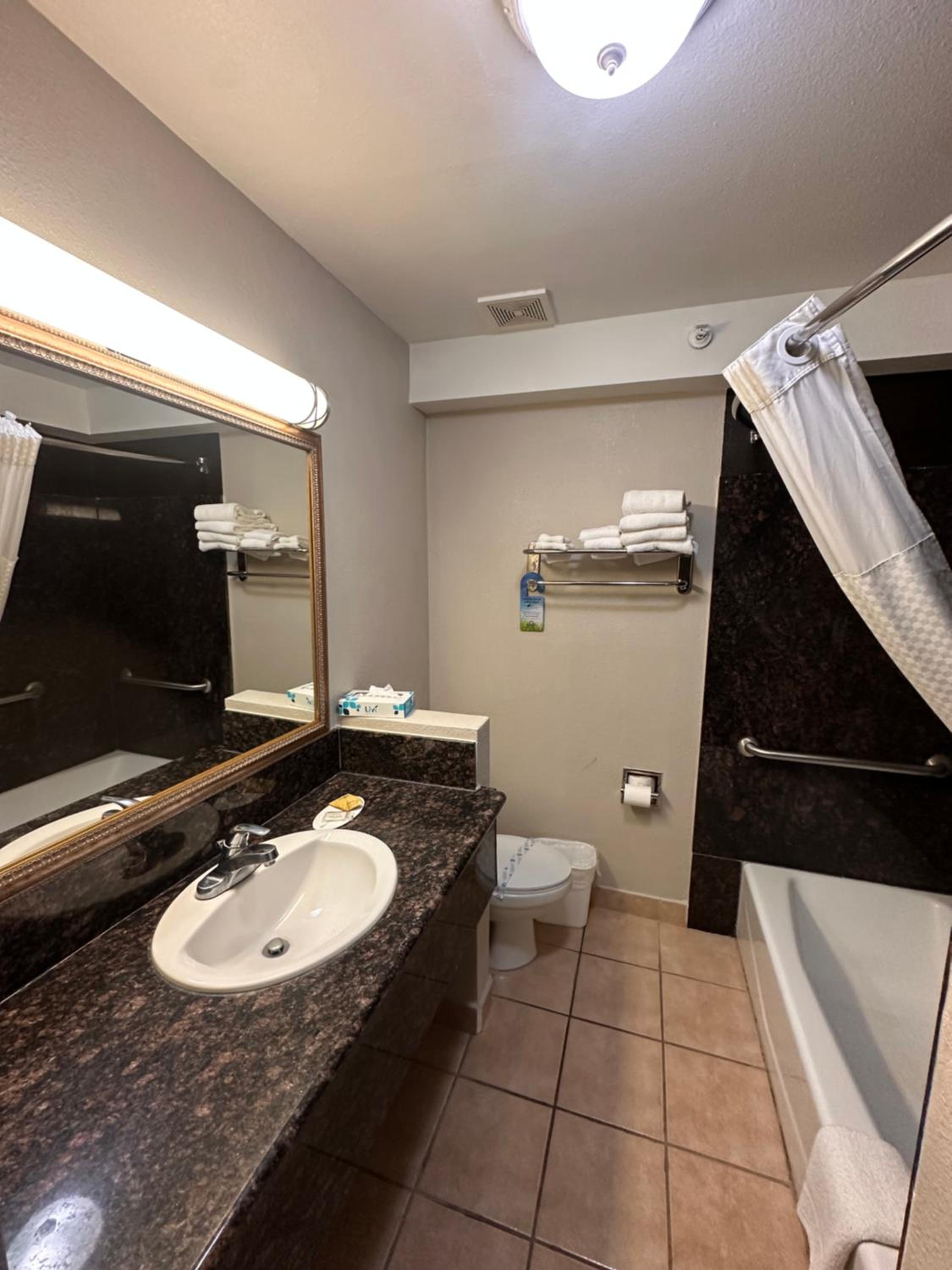 King  Studio Suite, Non-Smoking  - Photo 3