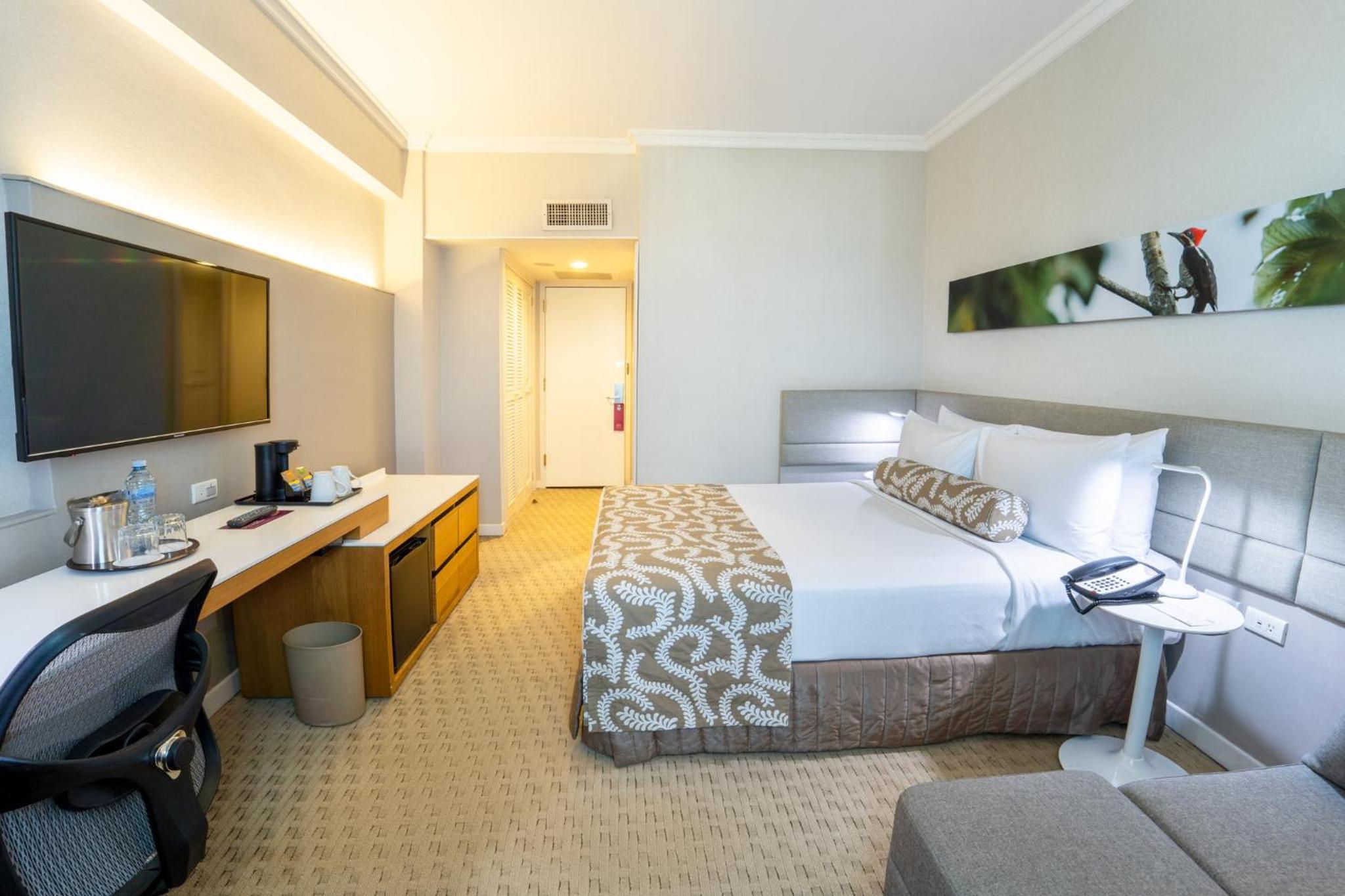 Standard Queen Room with Mountain View - Photo 9