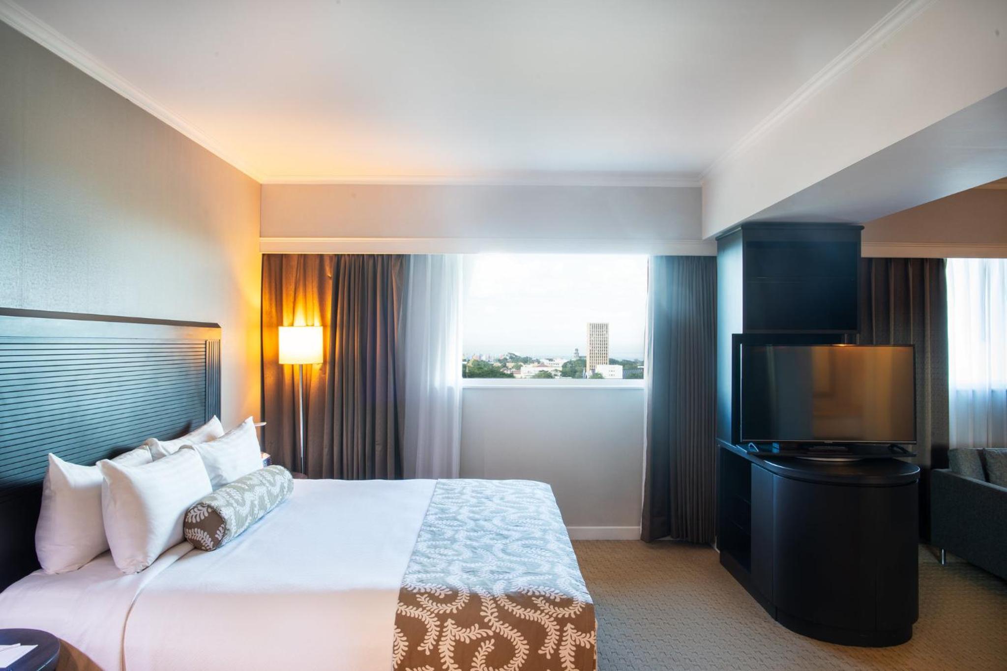 Junior King Suite with Lake View - Photo 8
