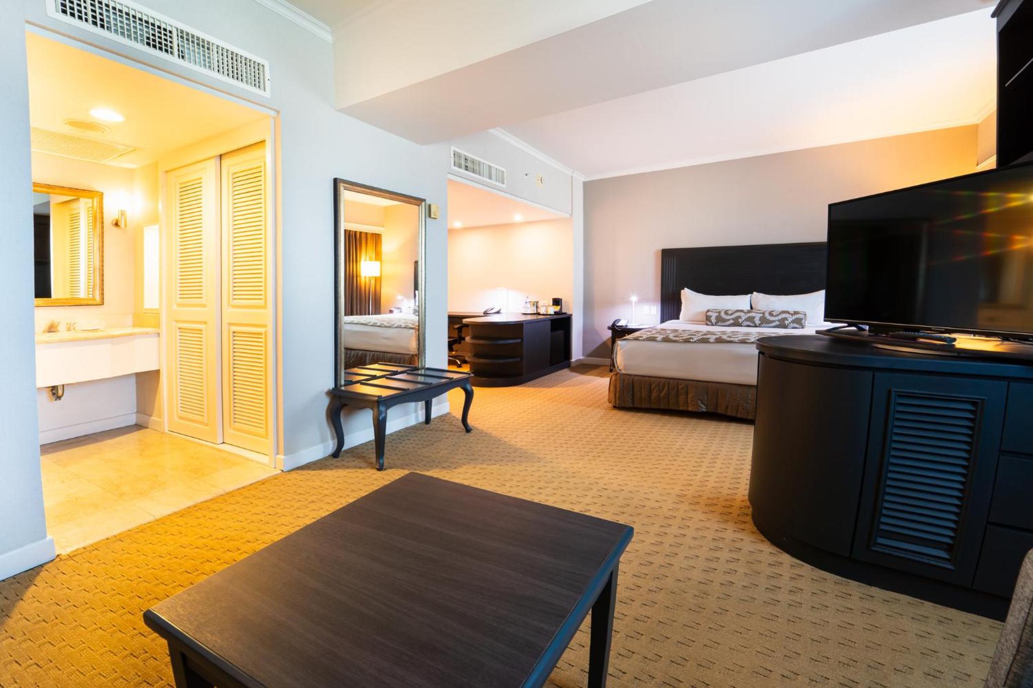 Junior King Suite with Lake View - Photo 11