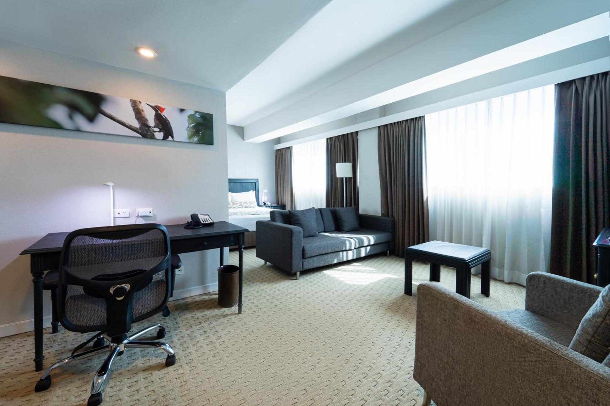 Junior Queen Suite with Lounge - Photo 5