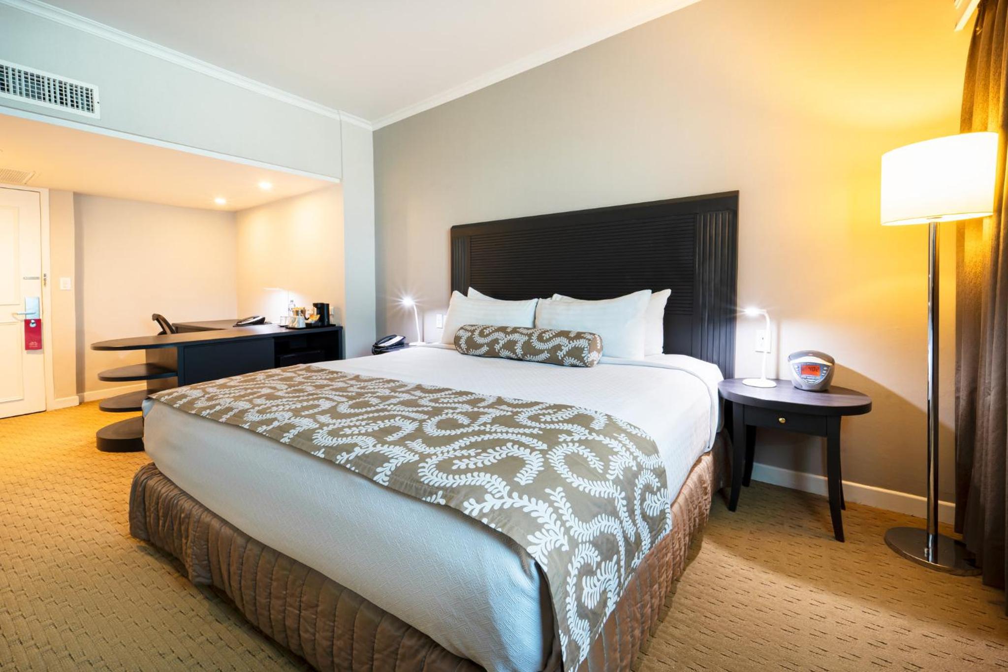 Junior King Suite with Lake View - Photo 12