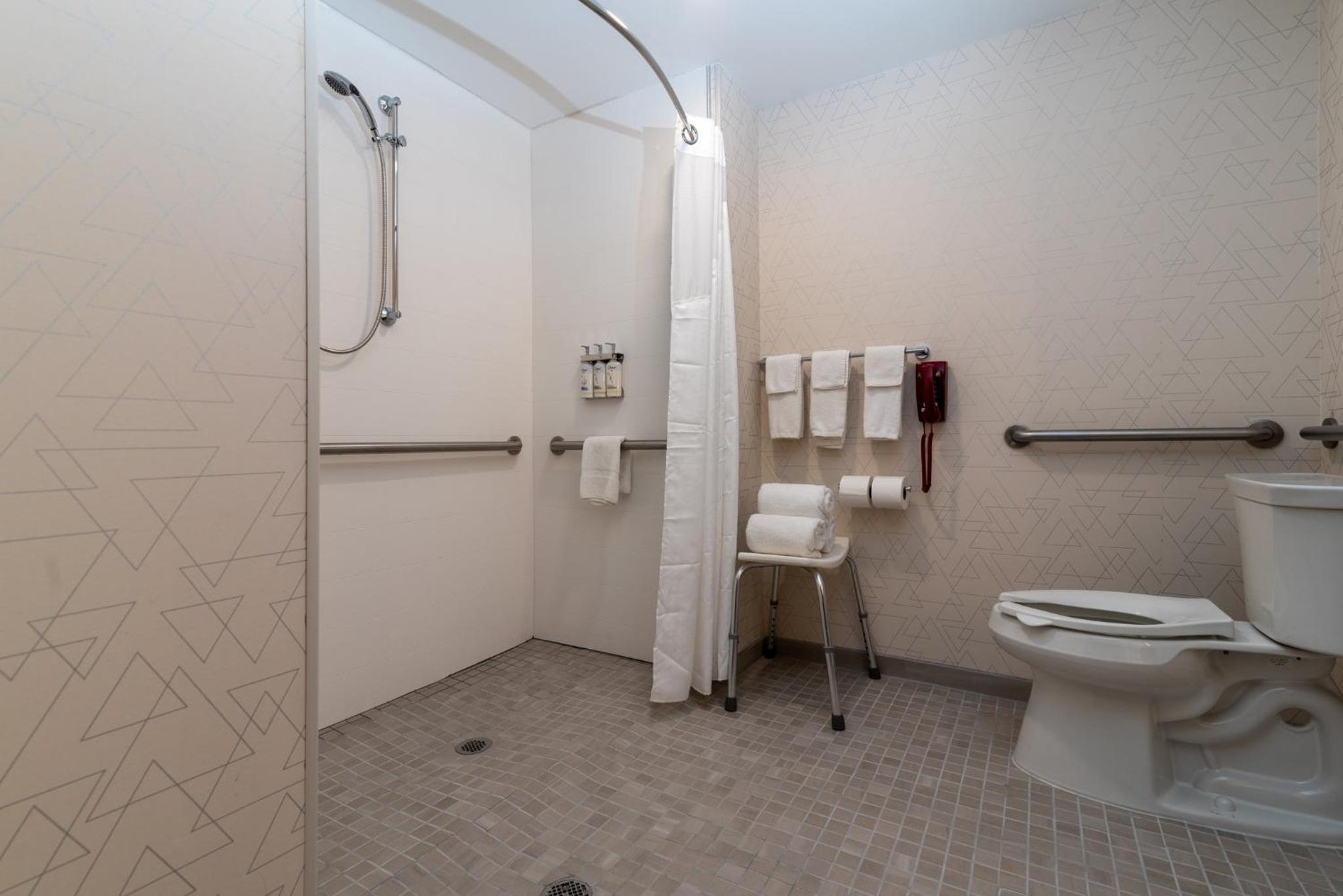 Standard King Room with Mobility Accessible Roll-In Shower, photo 6