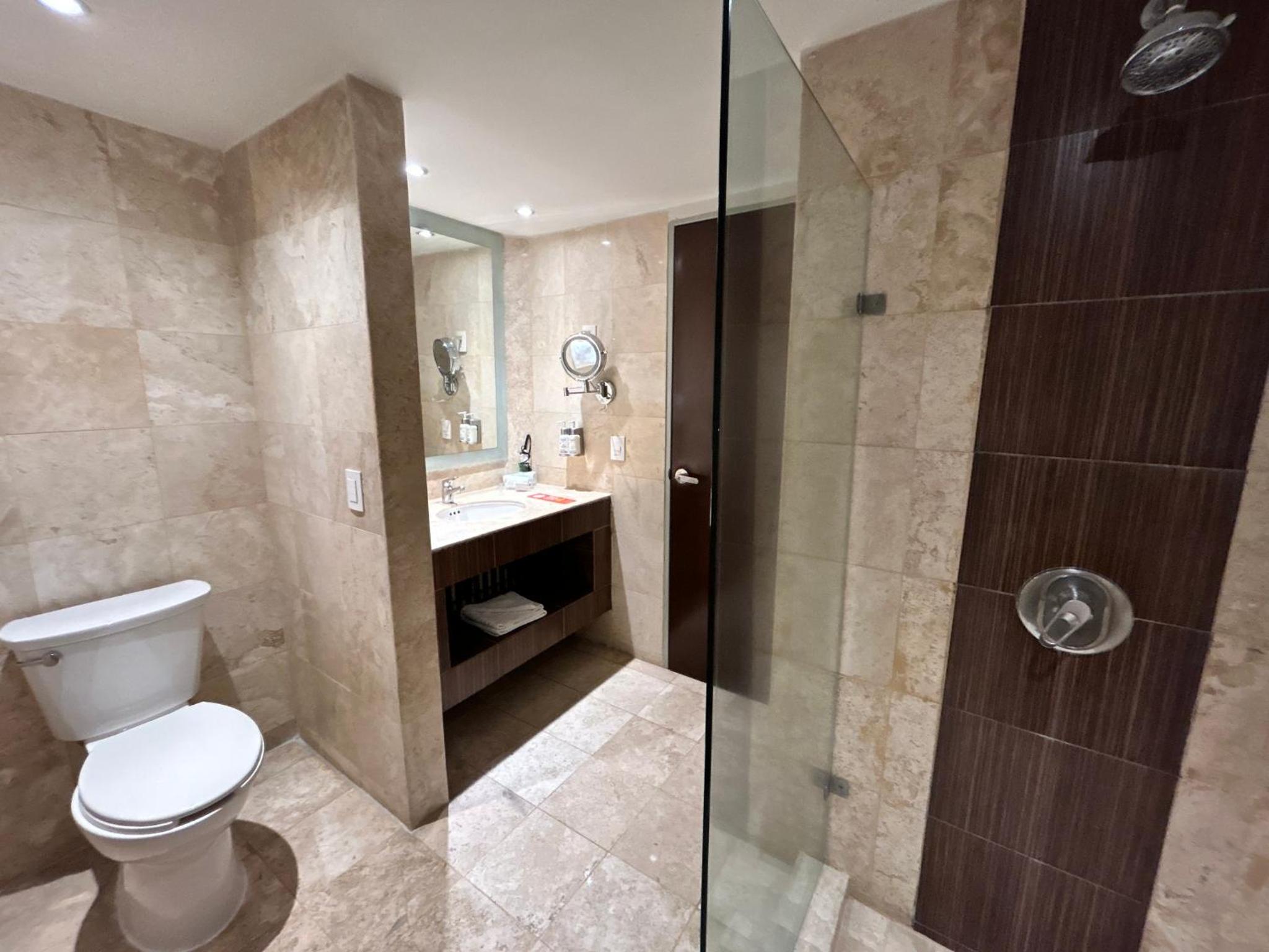 Standard King Room with Walk-In Shower - Photo 6