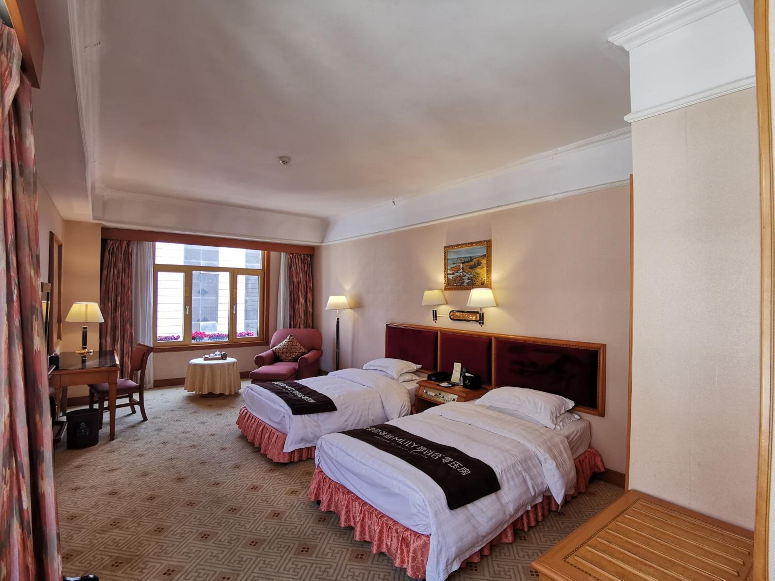 Business Twin Room with City View photo 2