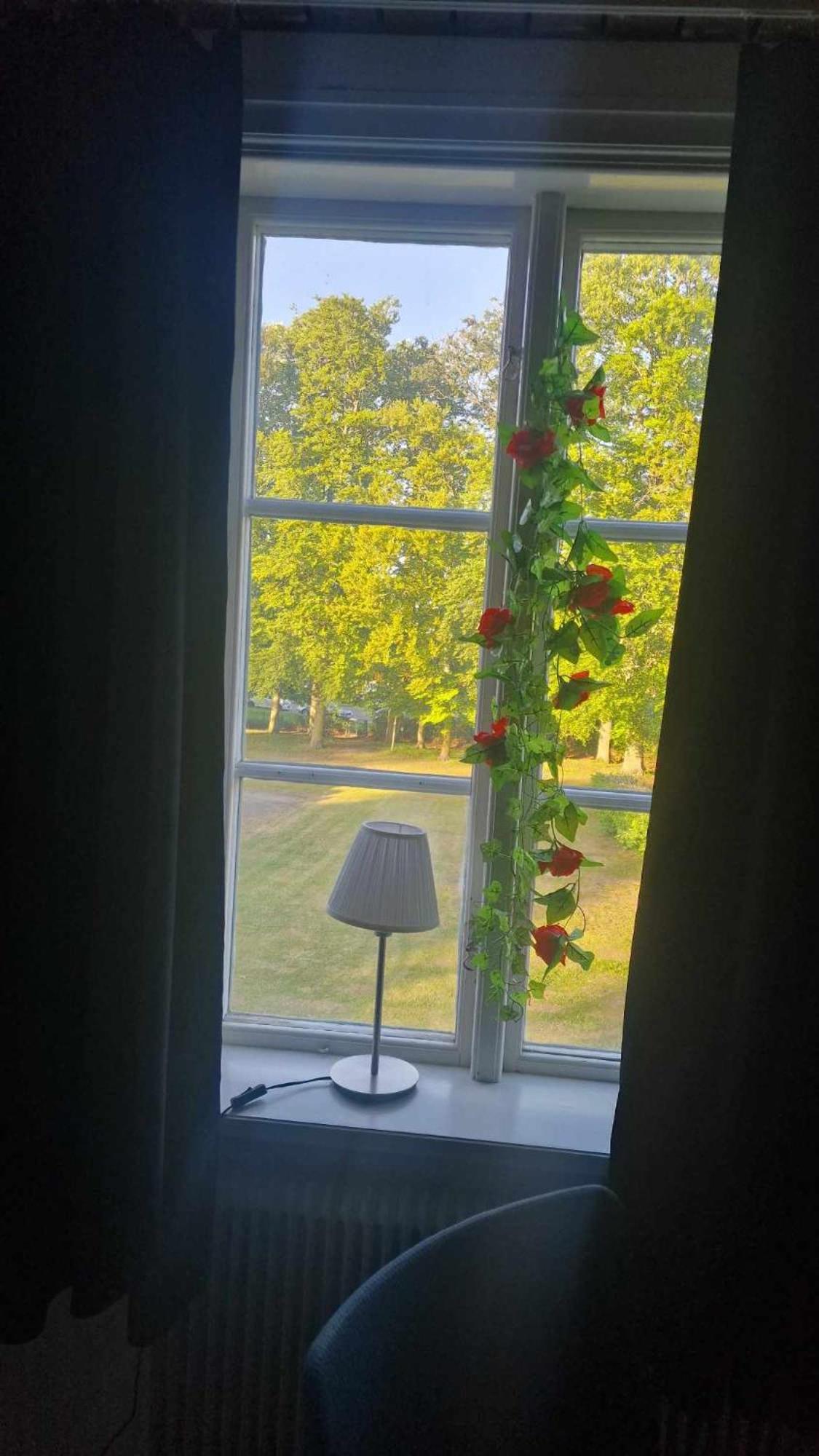 Triple Room - Photo 9