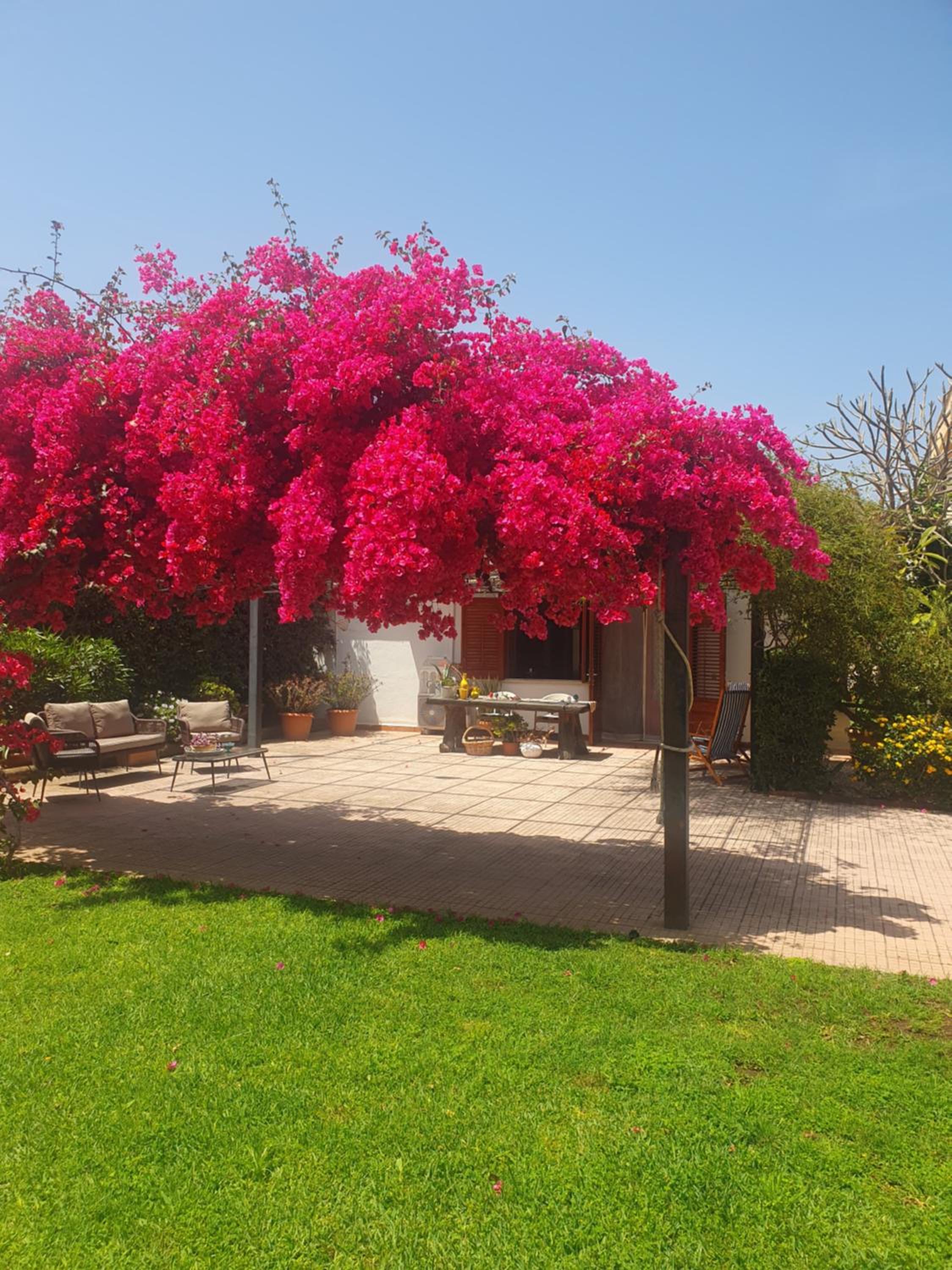 Holiday Home photo 2