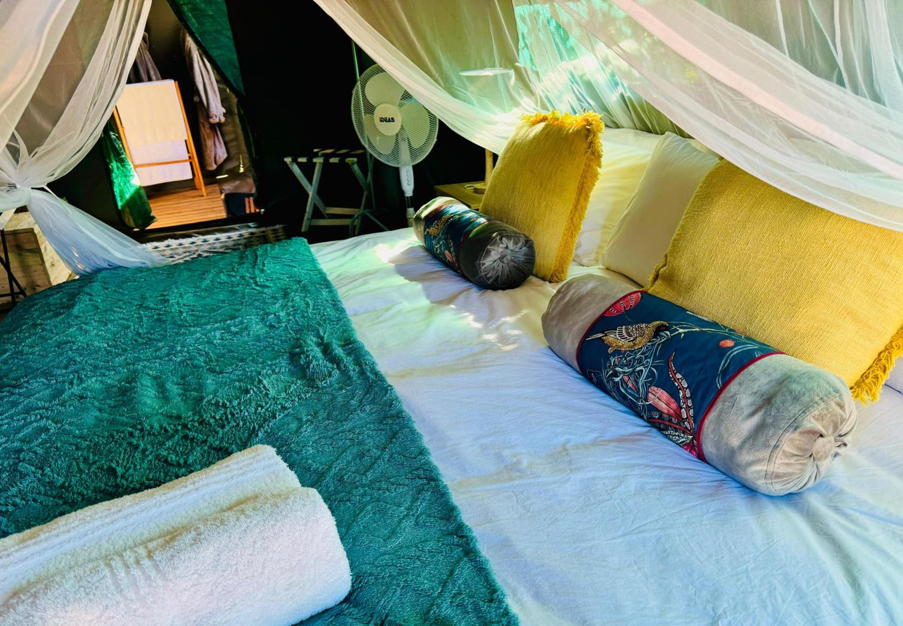 Tent photo 2