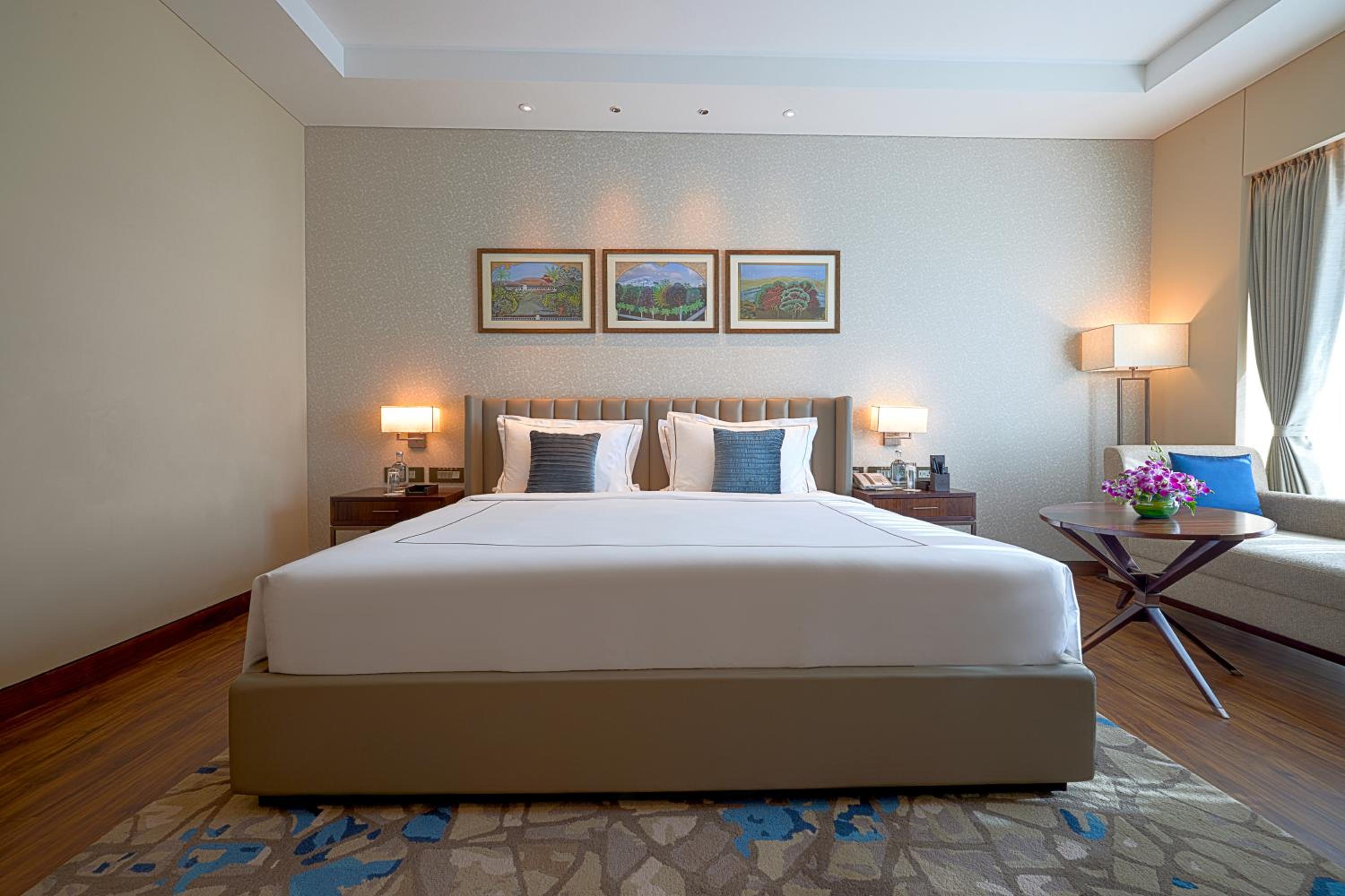 Premium Room King Bed photo 3