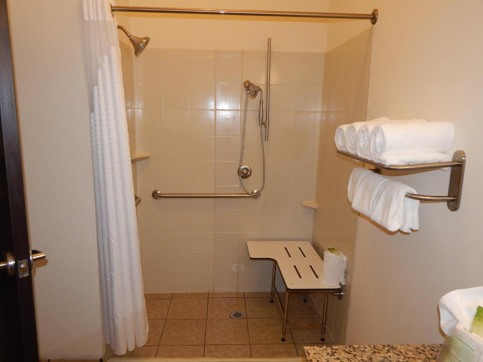 King Room with Roll-In Shower - Disability Access
