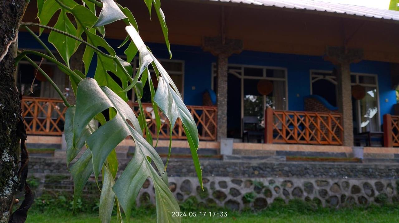 Double Room - Photo 10