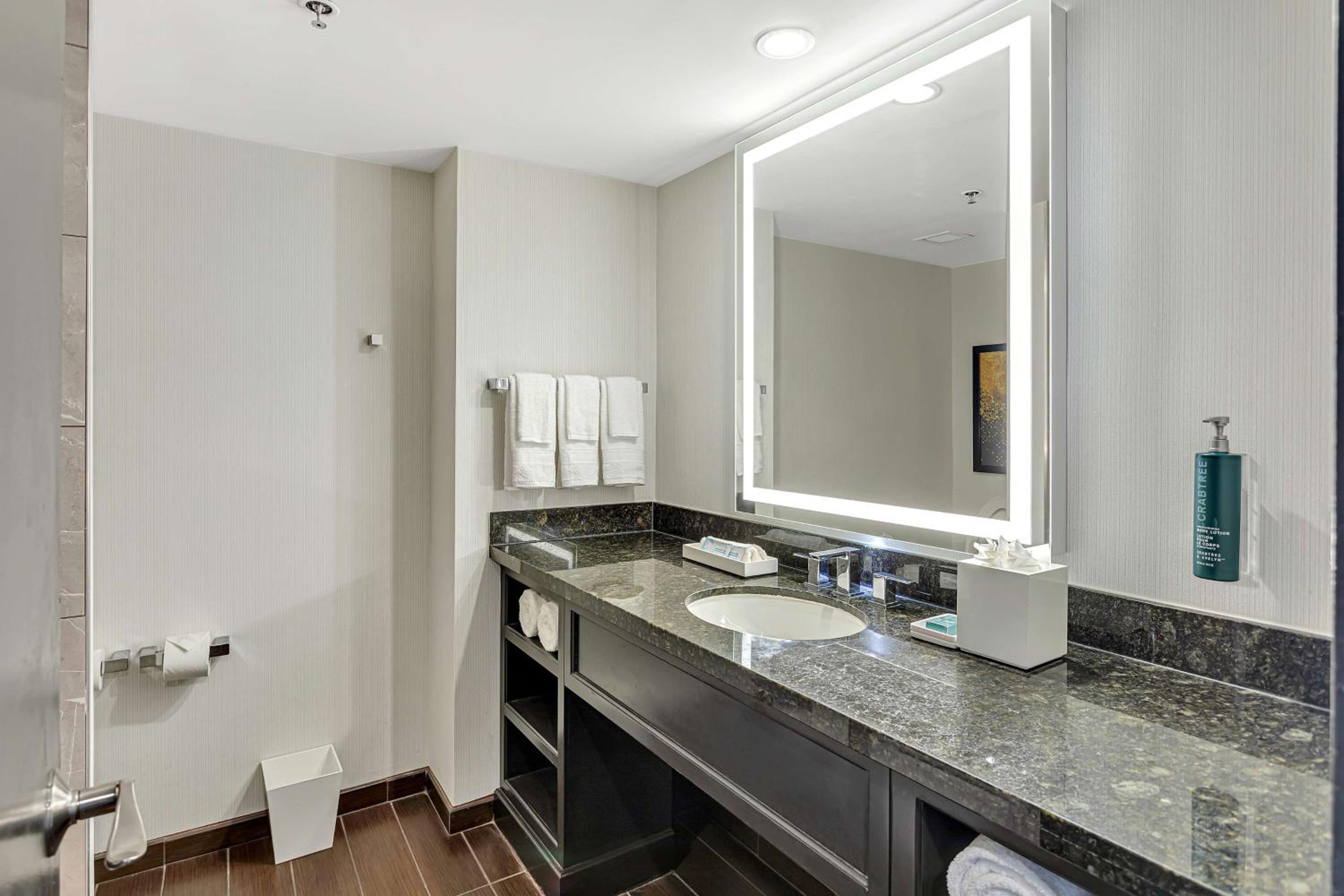 One-Bedroom King Suite with View