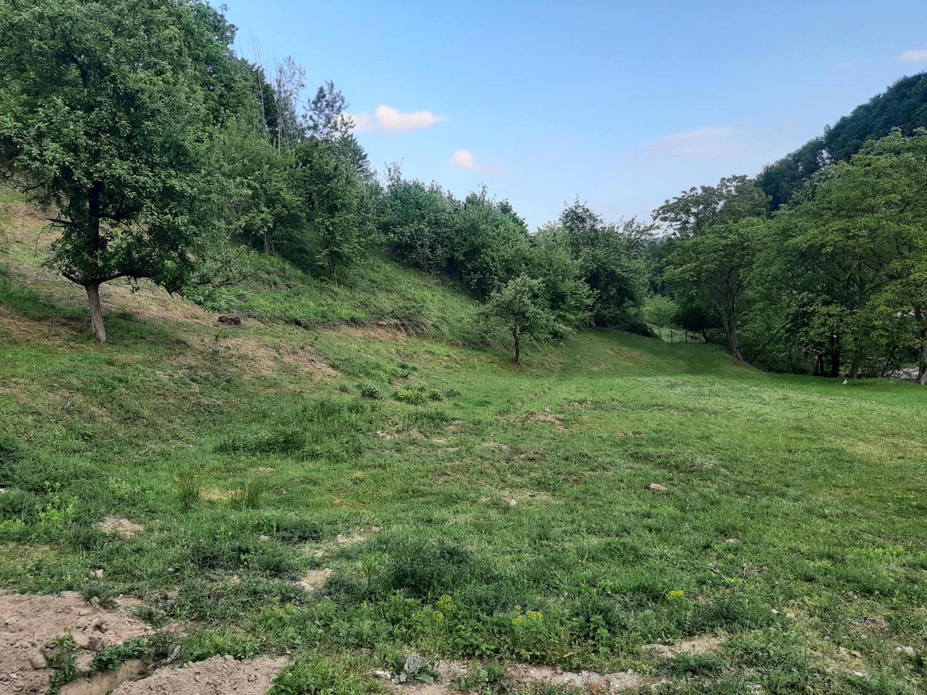 Tent photo 2