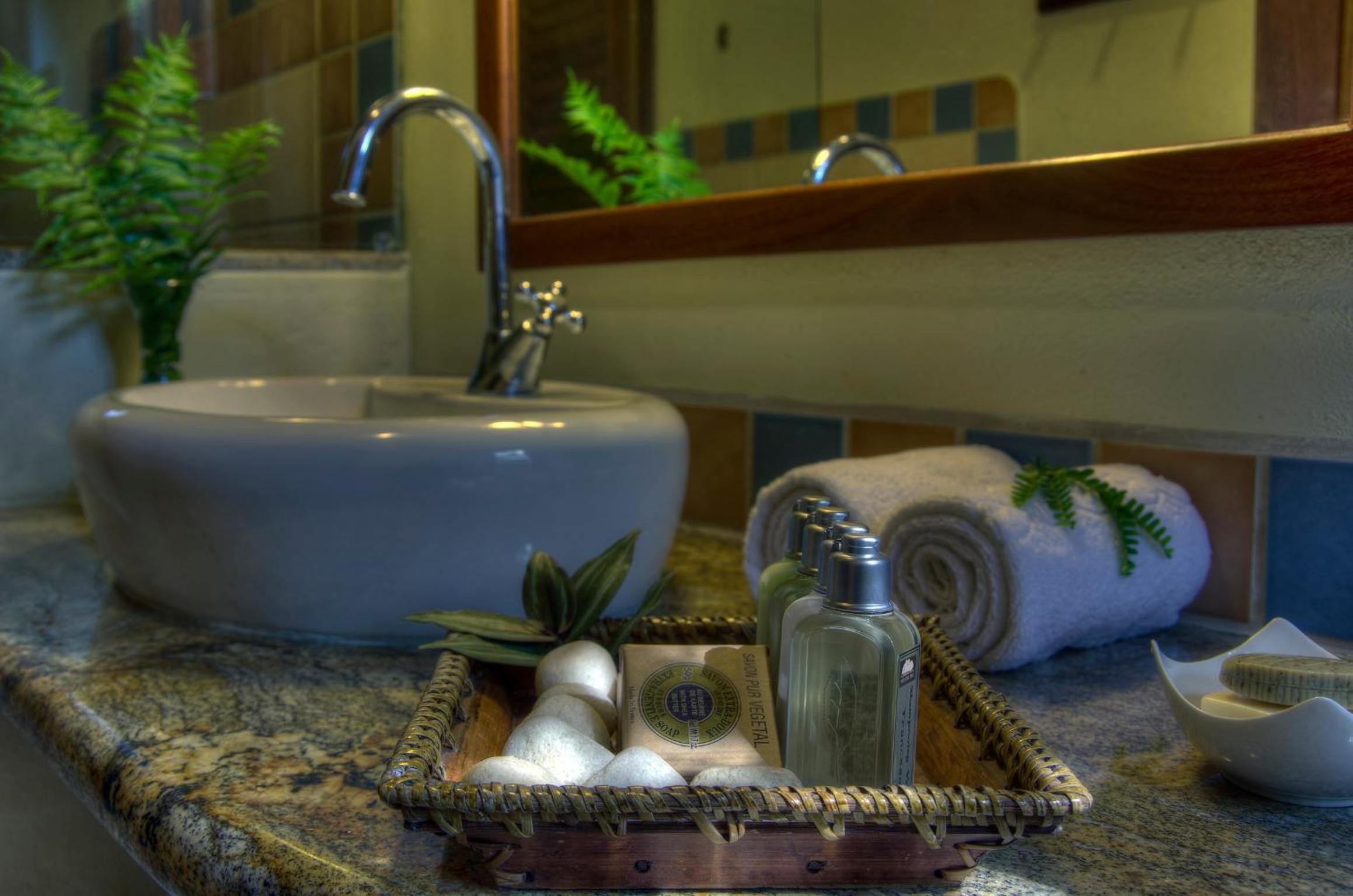Master Suite I - Photo 8