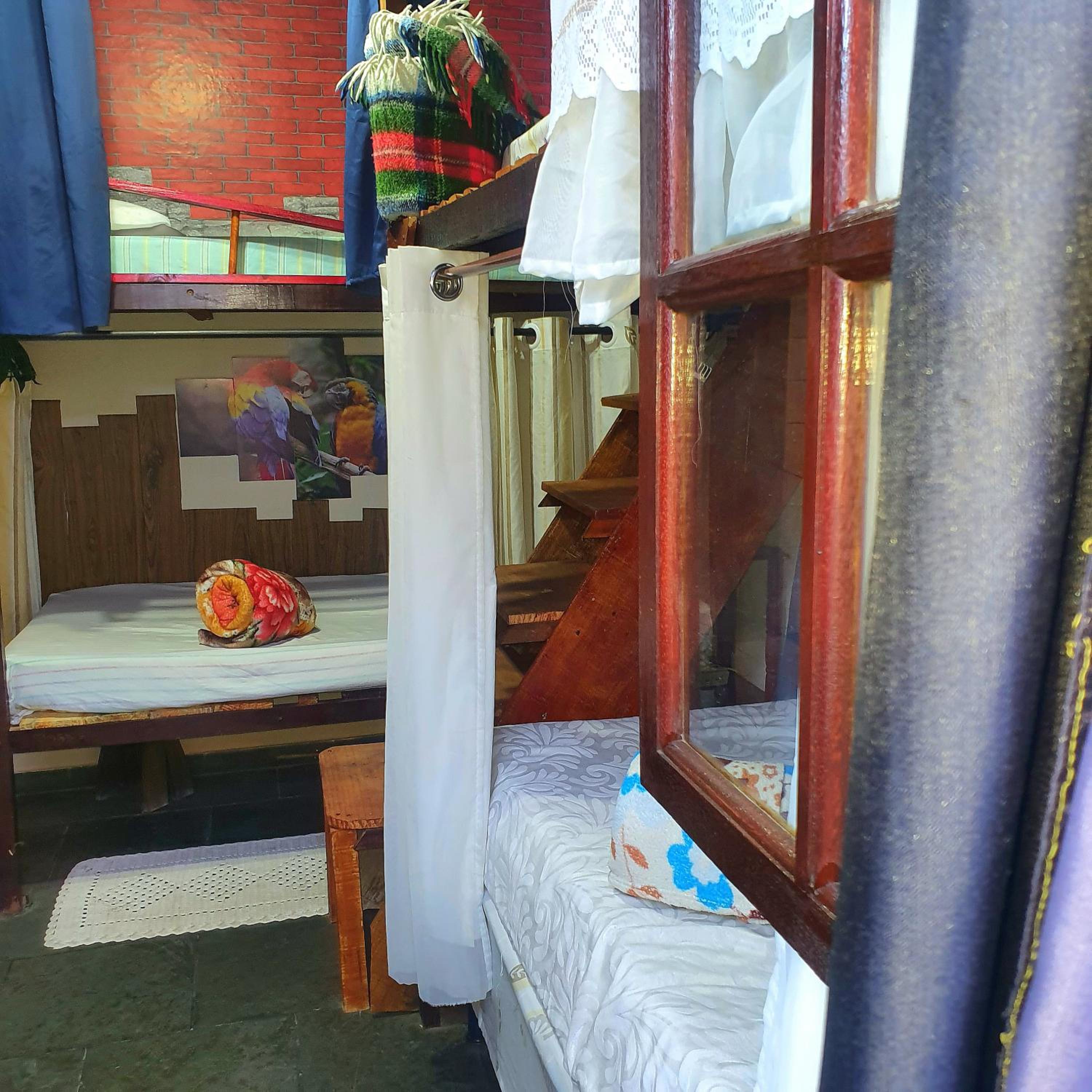 Bed in 6-Bed Female Dormitory Room photo 1
