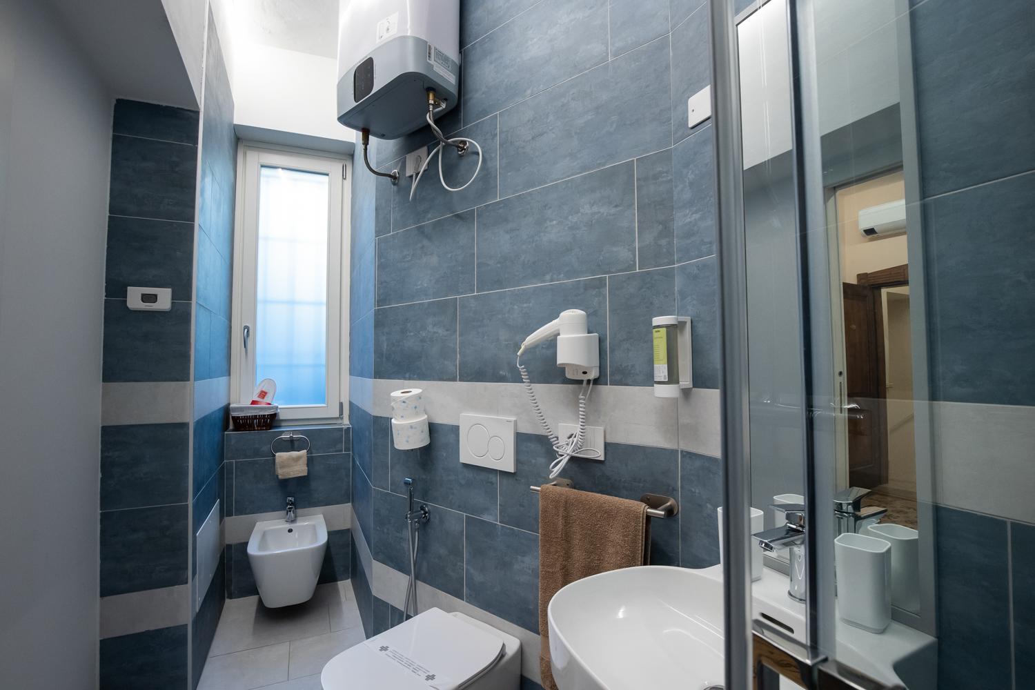 Deluxe Double or Twin Room photo 2