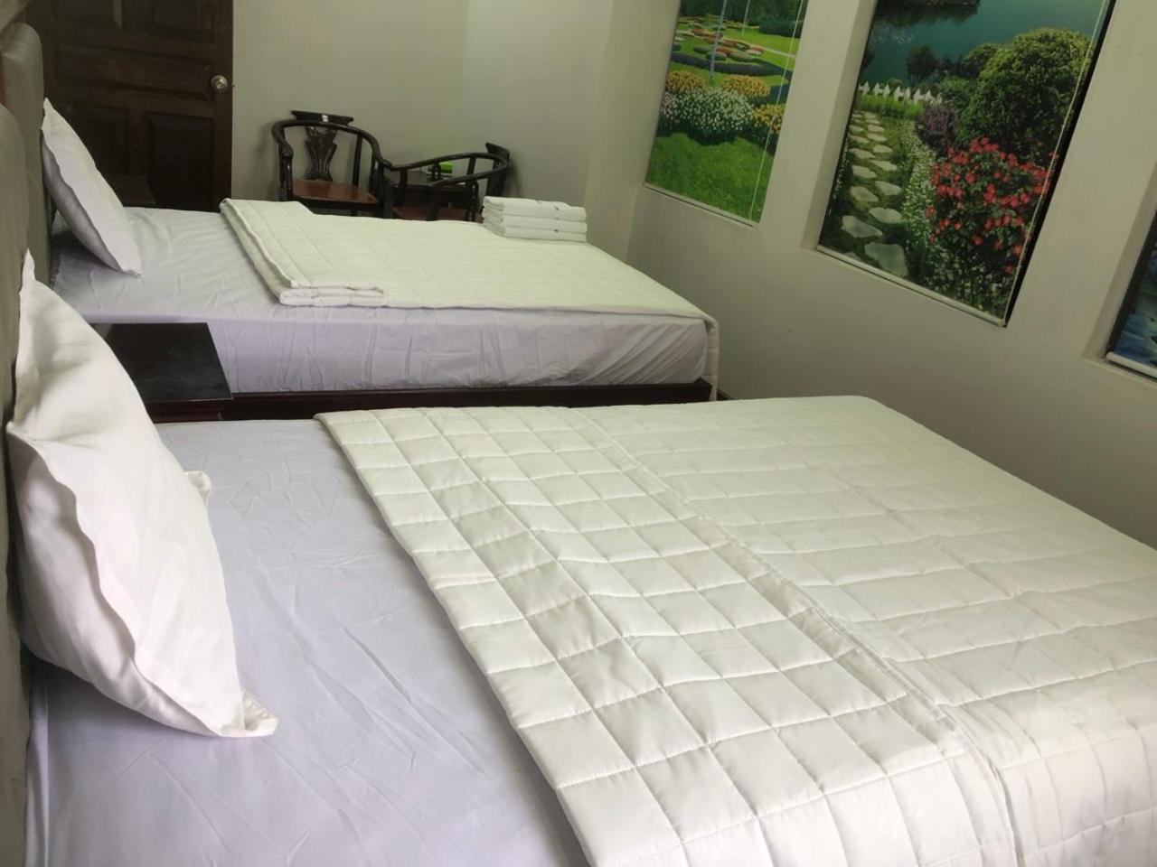 Twin Room photo 3