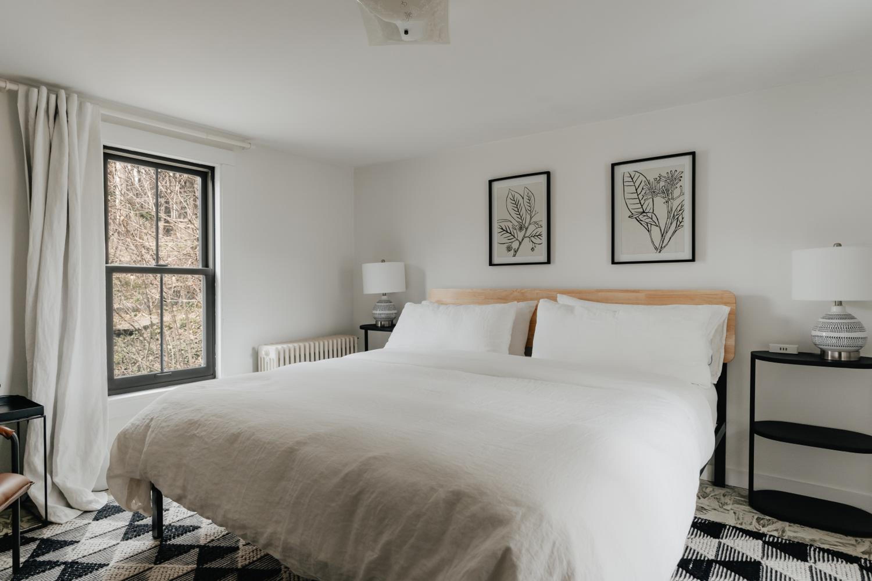 King Room photo 1