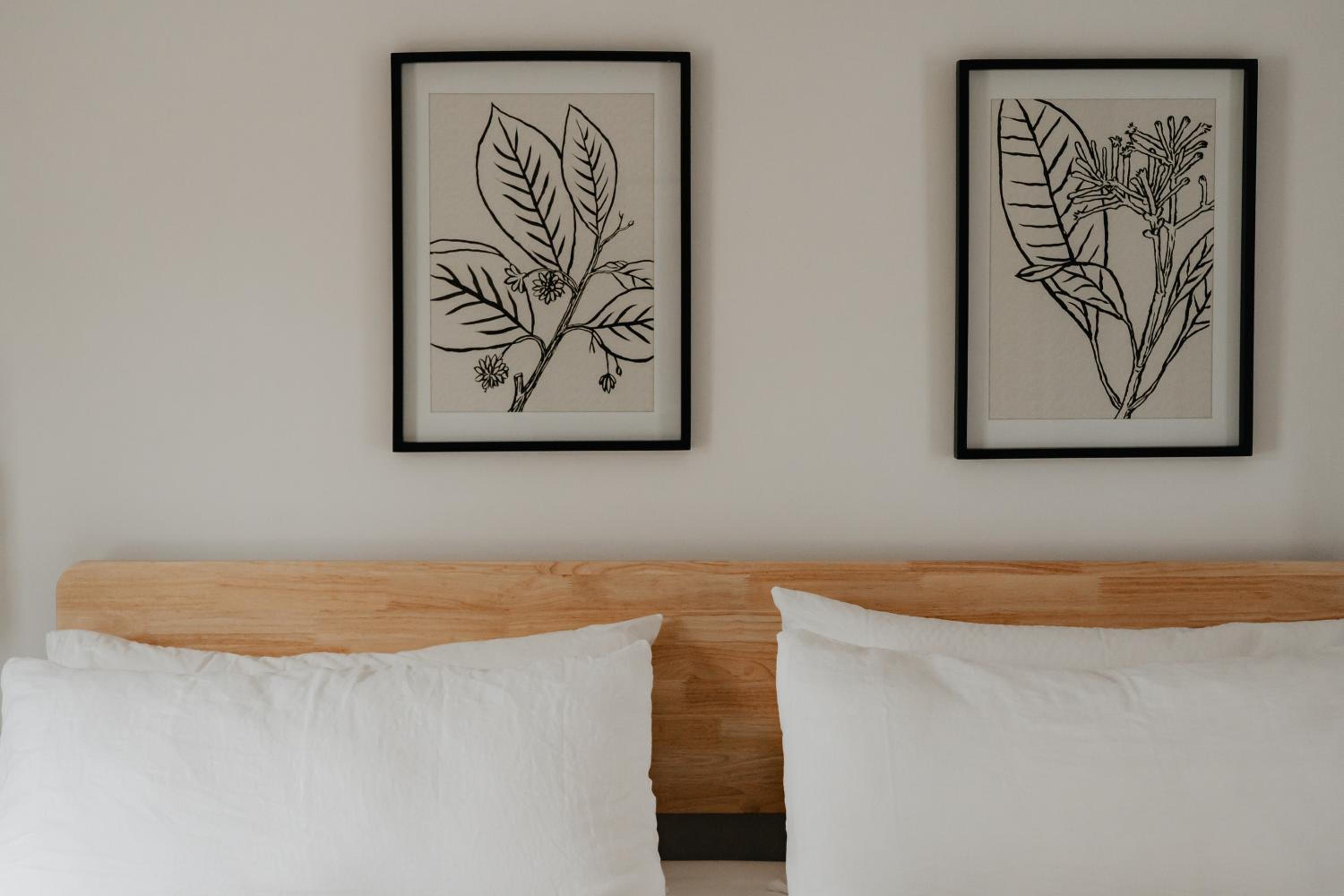 King Room photo 2