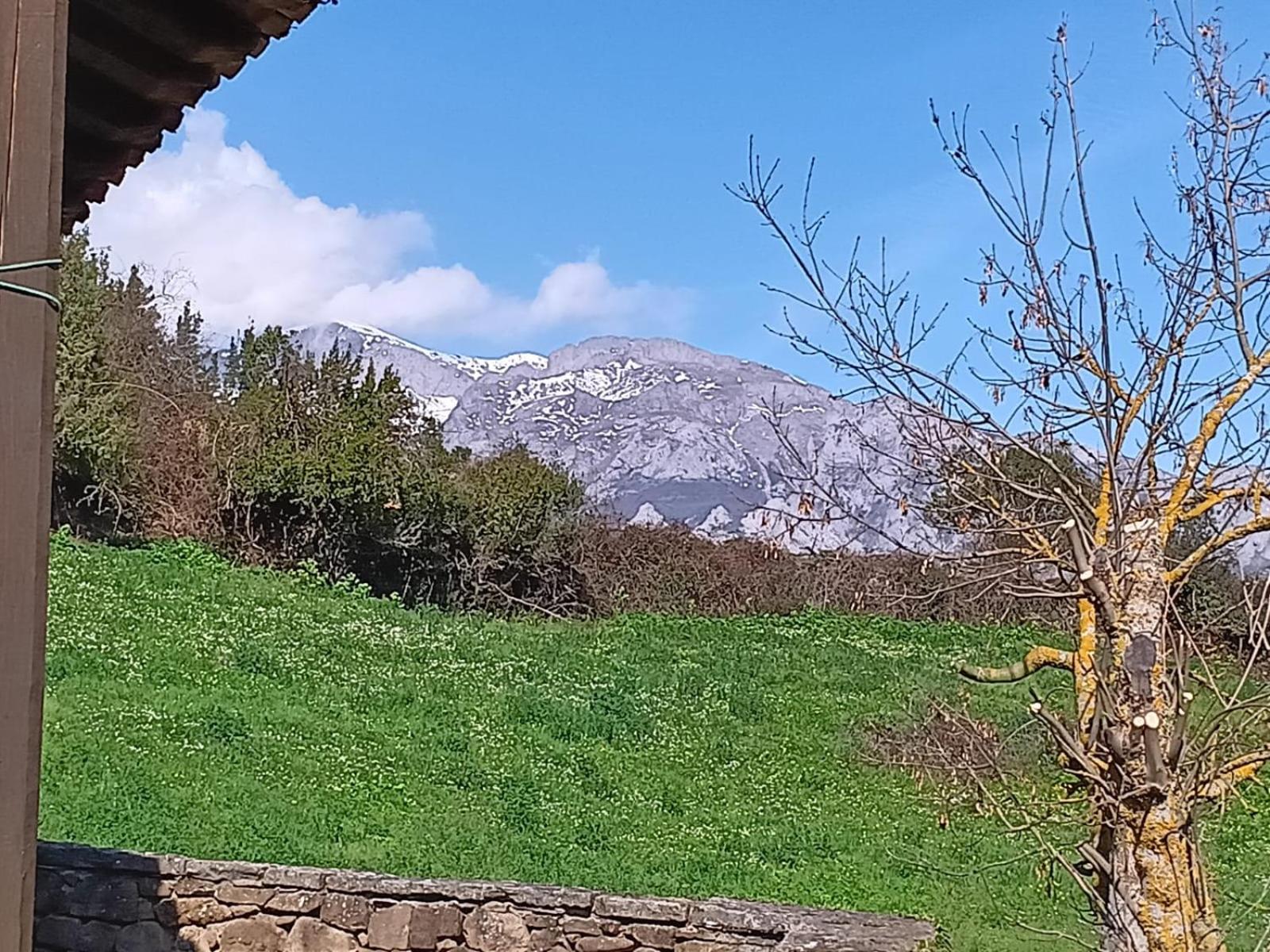 Studio with Mountain View photo 3