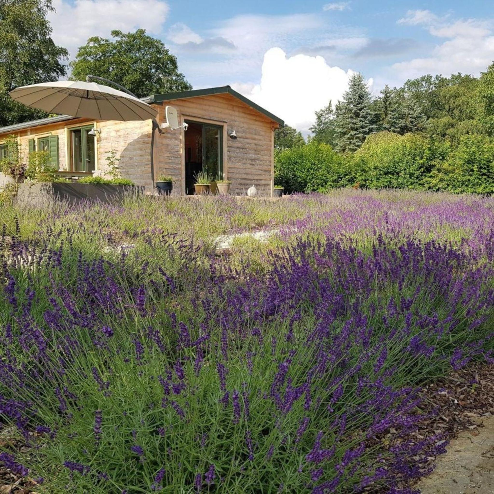 Two-Bedroom Holiday Home photo 3