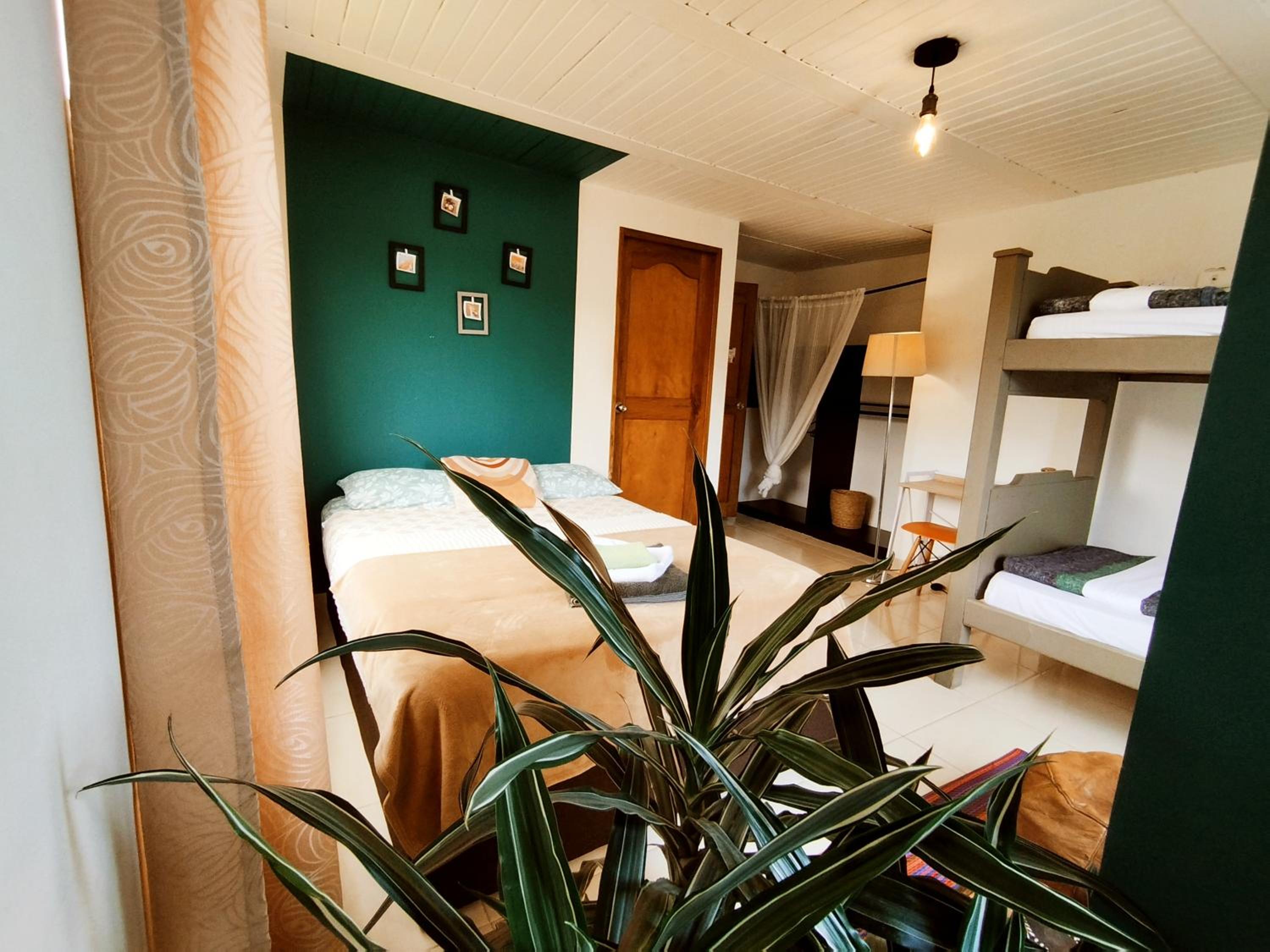 Superior Double Room photo 1