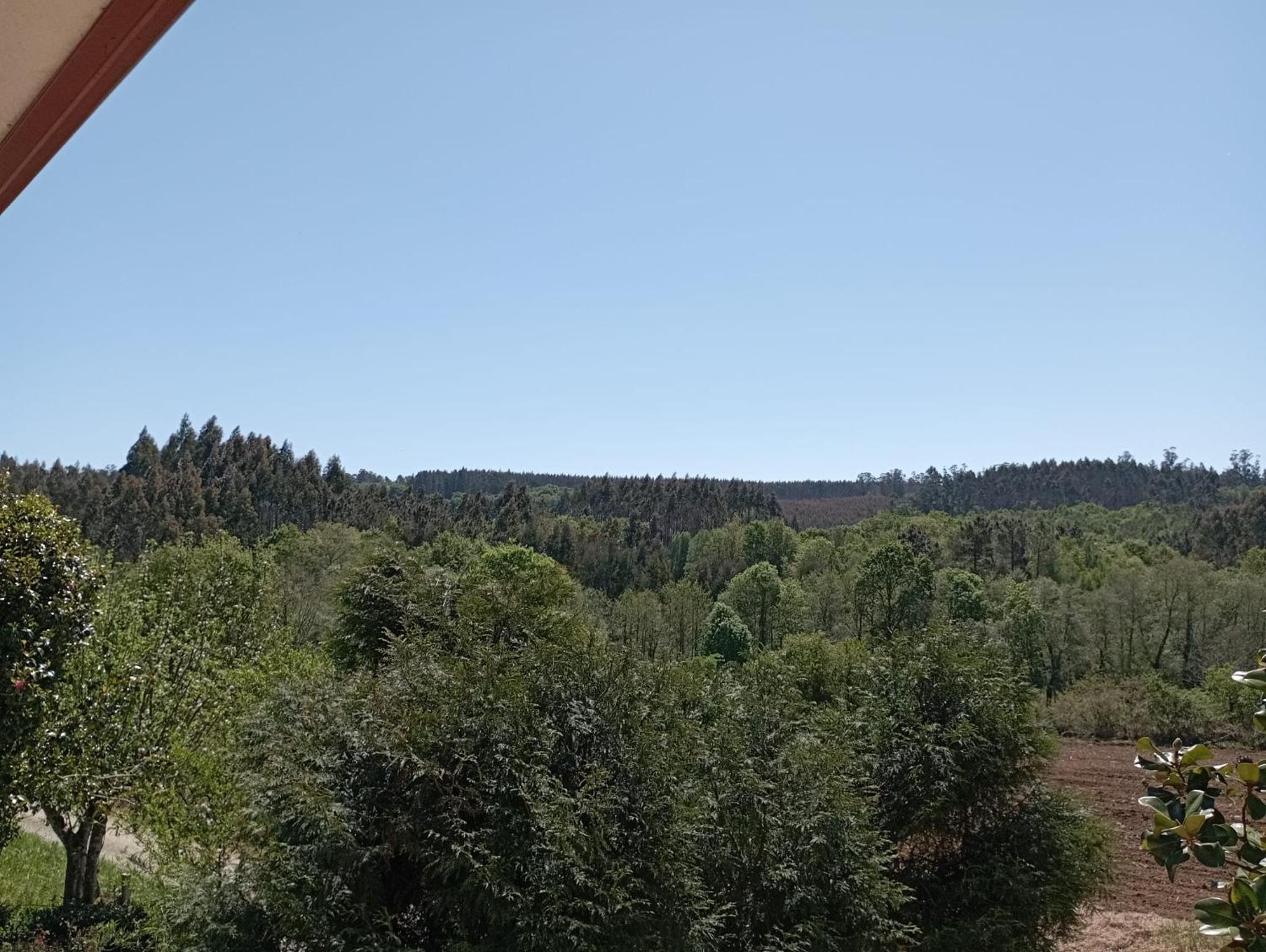 Double Room With Mountain View photo 2