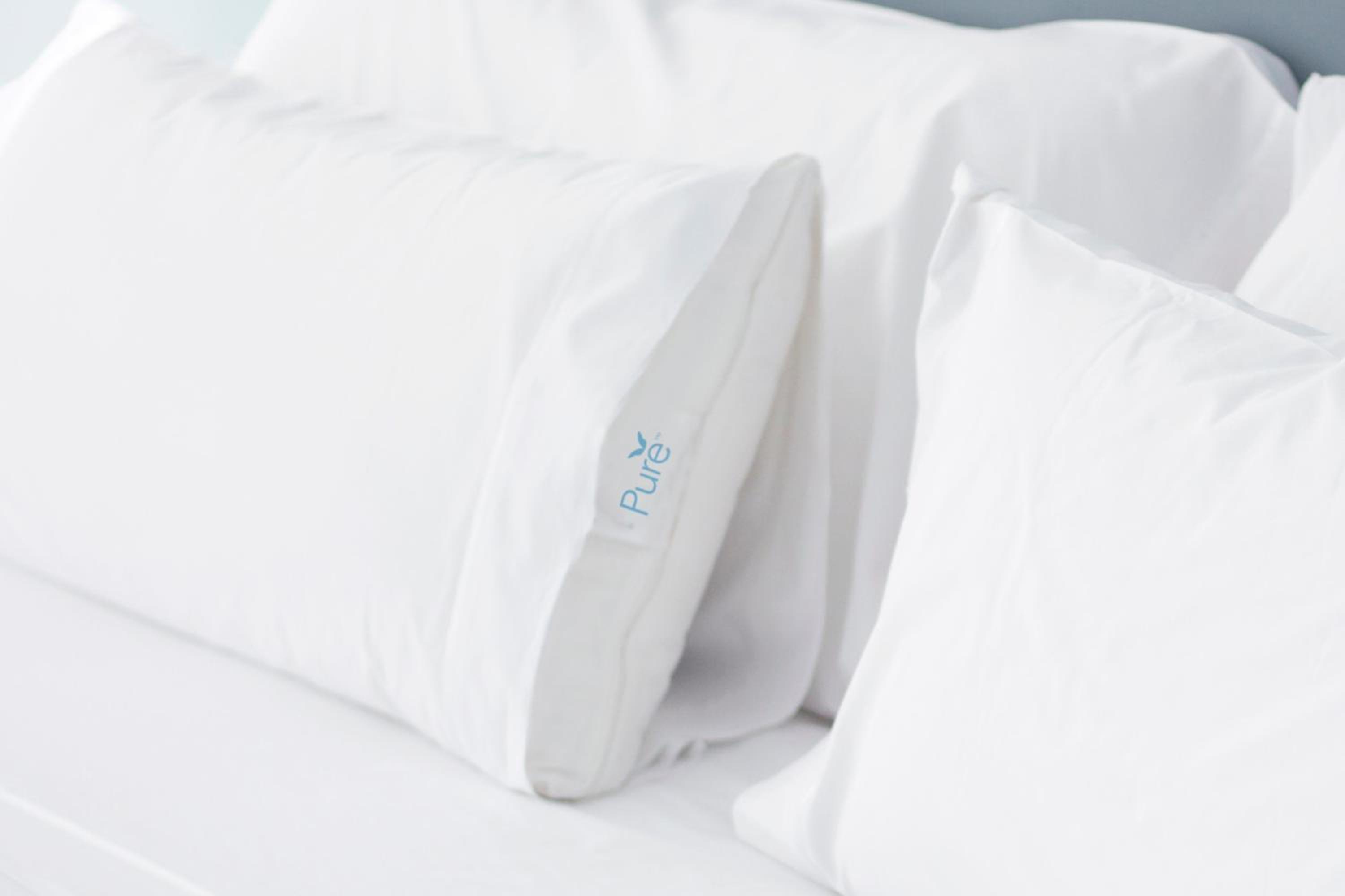 Pure Allergy-Friendly, Queen Studio With Sofa Bed photo 1