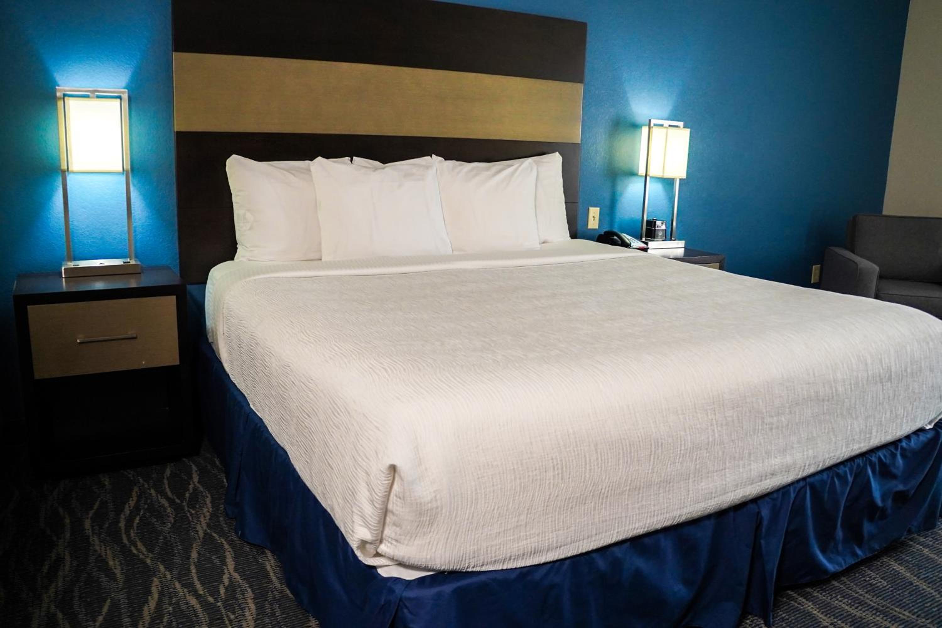 One-Bedroom King Suite - Non-Smoking - Photo 1