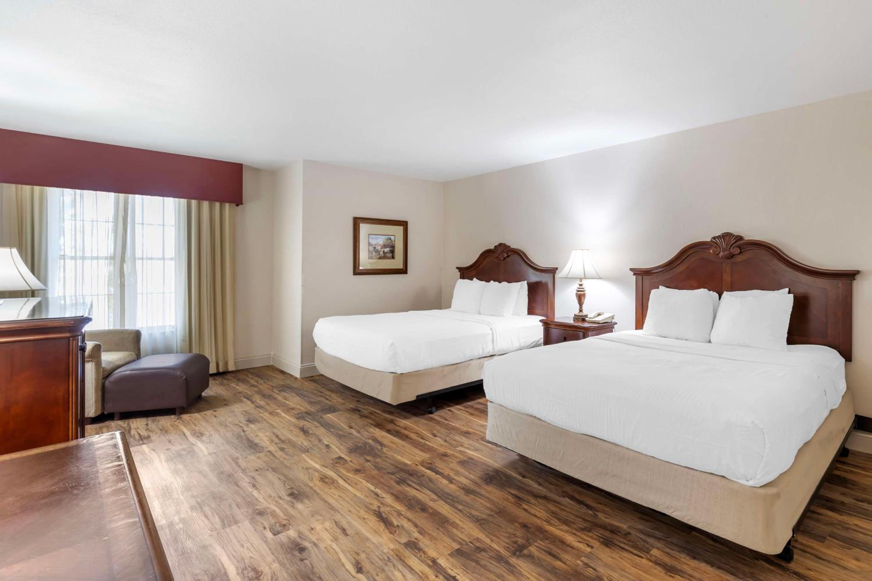 Queen Room - Disability Access - Photo 2