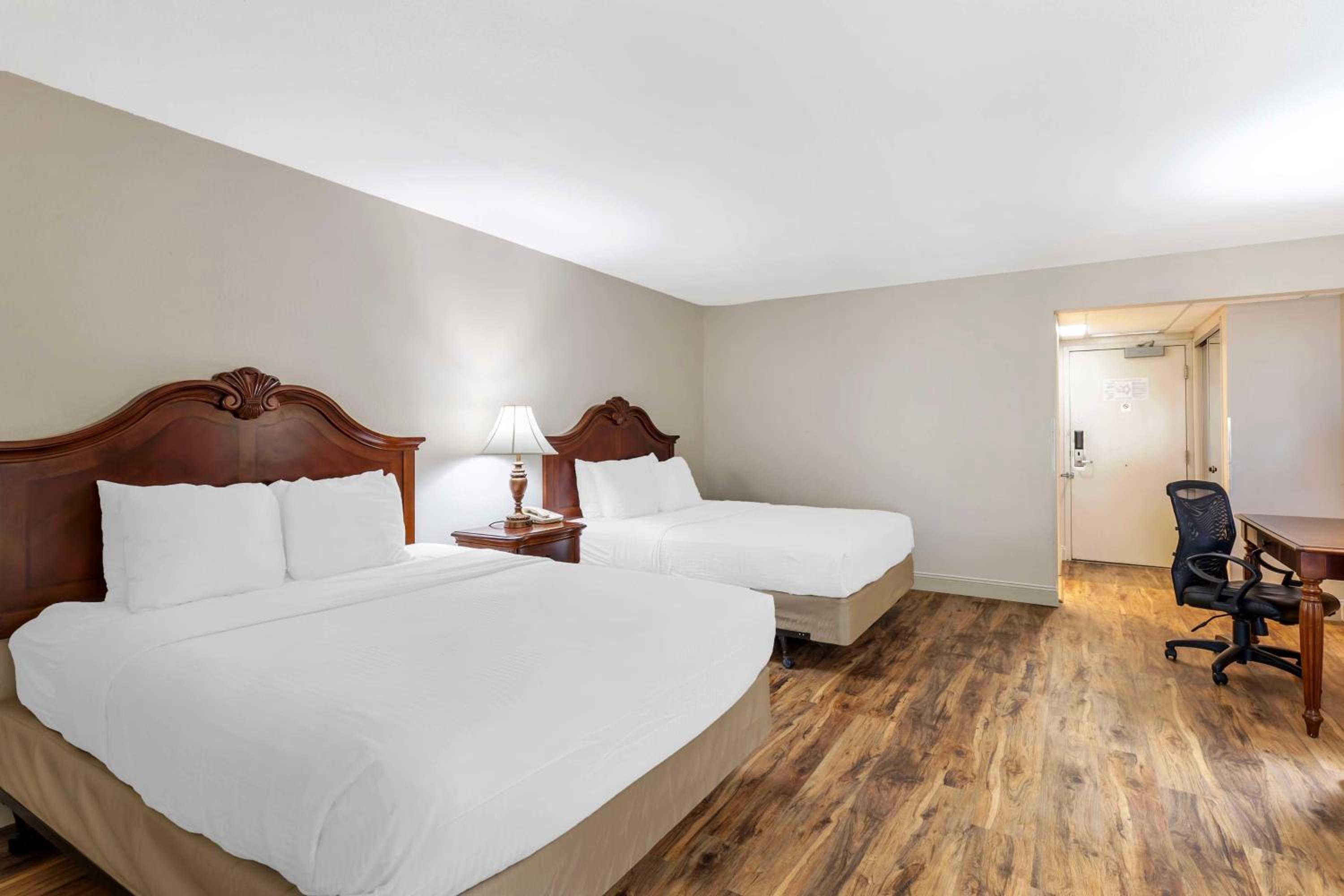 Queen Room - Disability Access - Photo 4