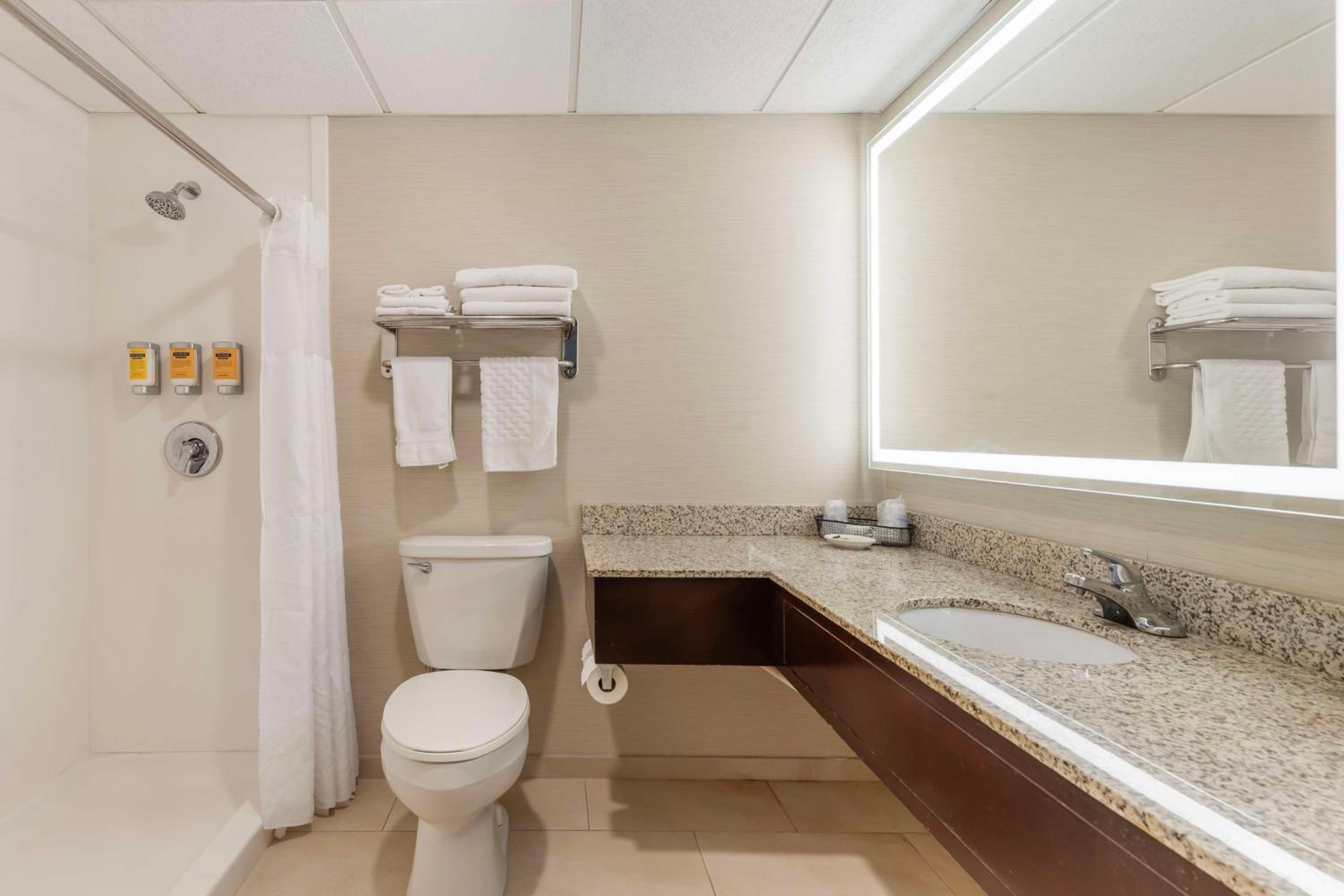 Deluxe Business King Room - Non-Smoking - Photo 4