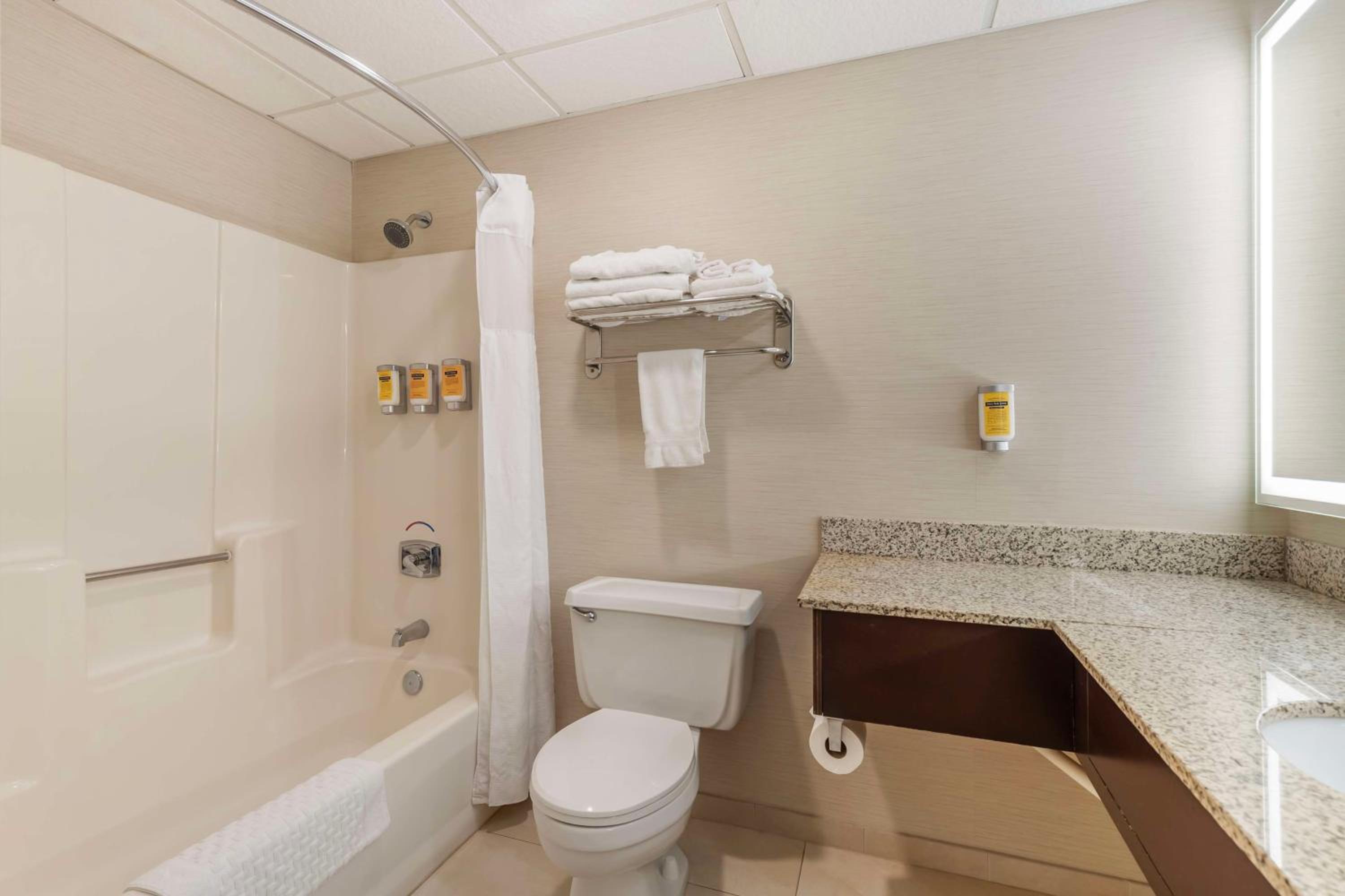 Deluxe Business King Suite with Spa Bath - Non-Smoking - Photo 6