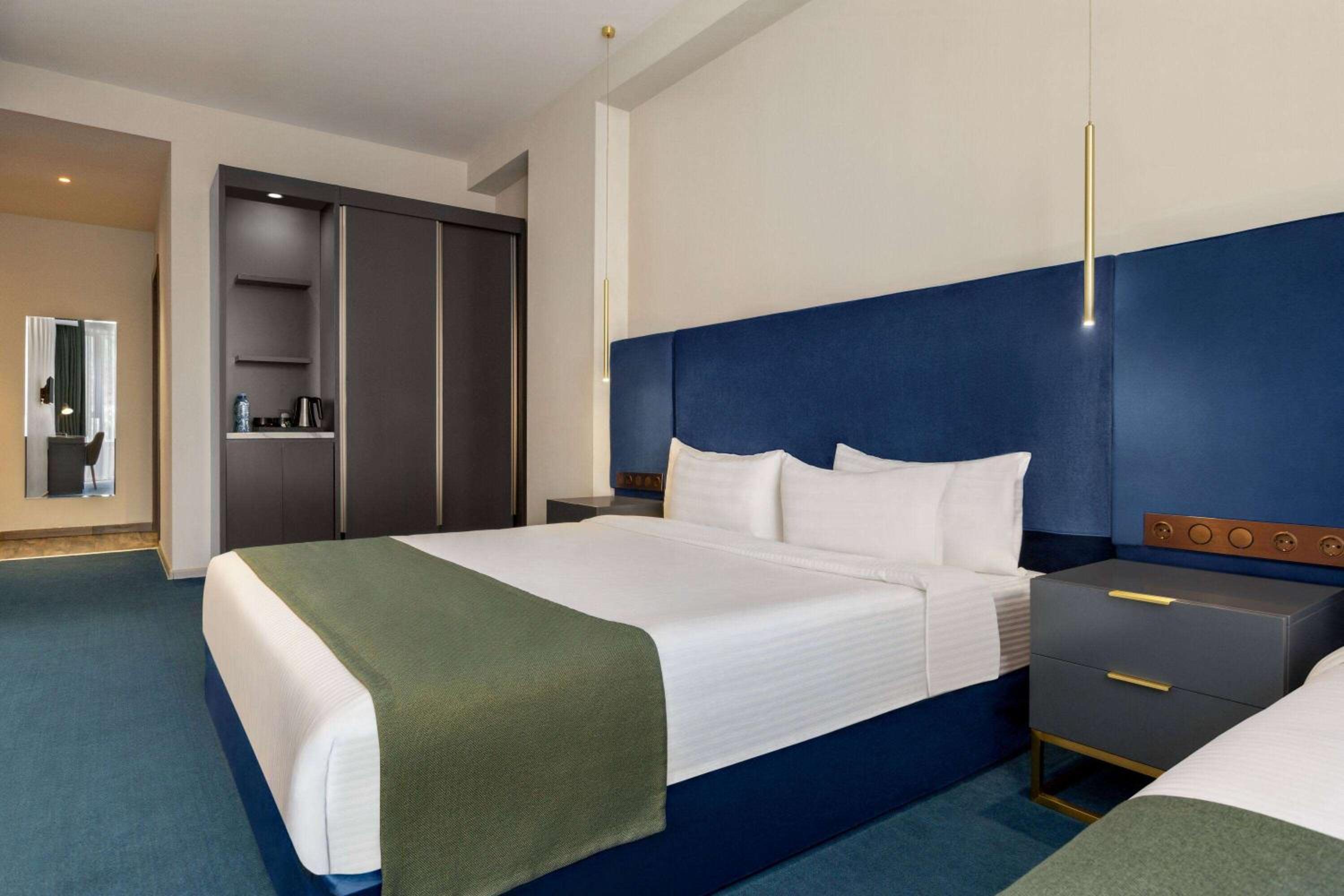 מלון רמדה טביליסי אולד סיטי — King Room with Roll-in Shower - Mobility Access/Non-Smoking