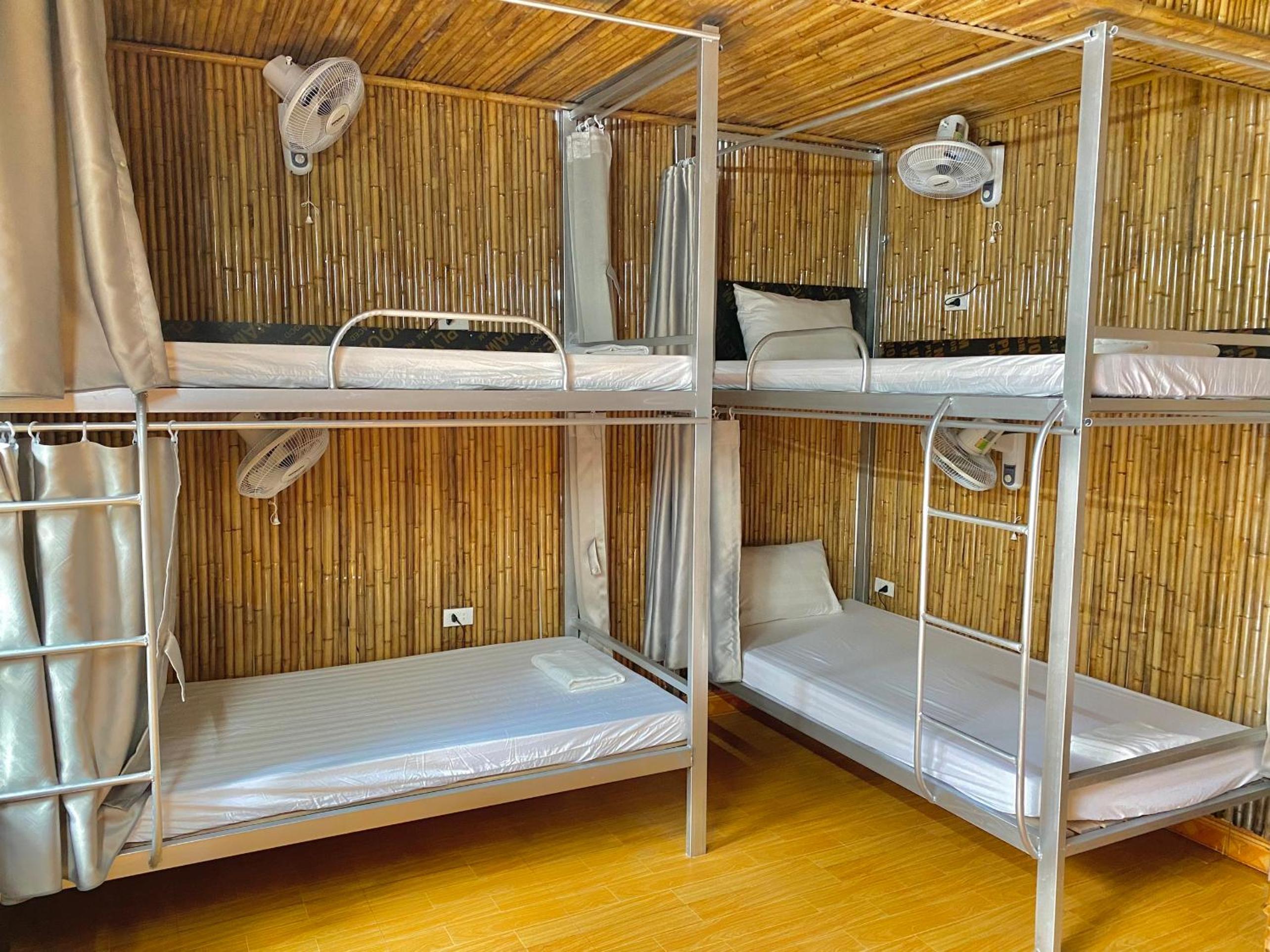 Bunk Bed in Mixed Dormitory Room photo 2
