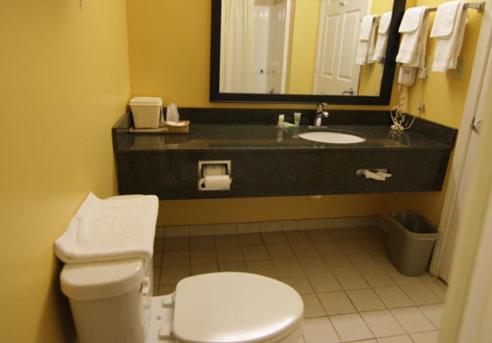 Standard King Room - Photo 7