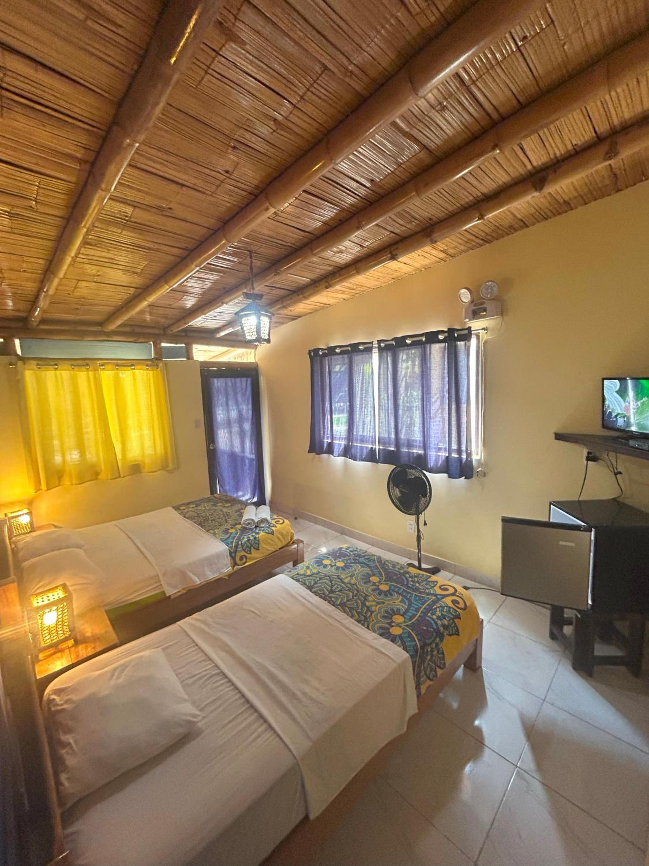 Twin Room photo 2
