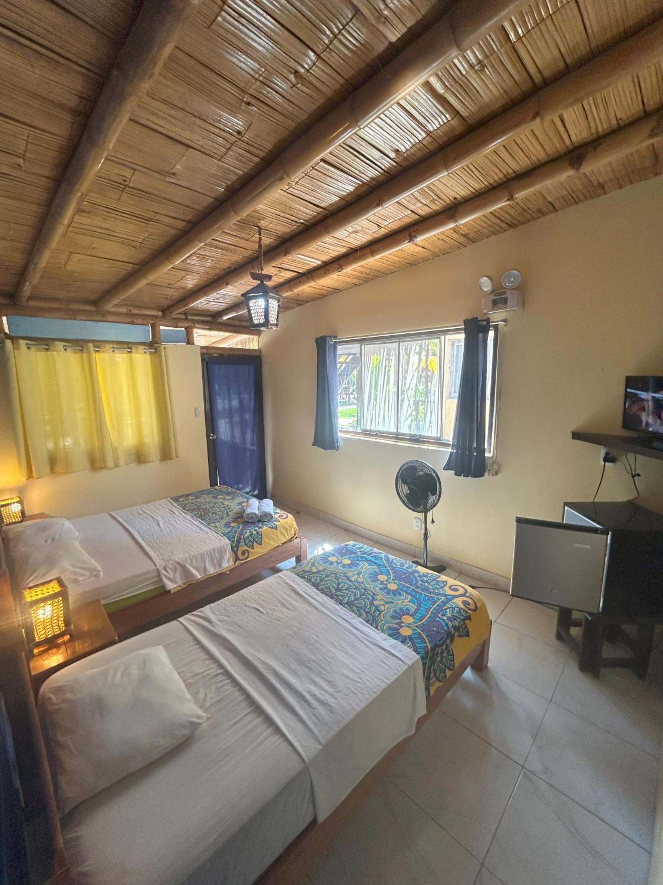 Twin Room photo 1