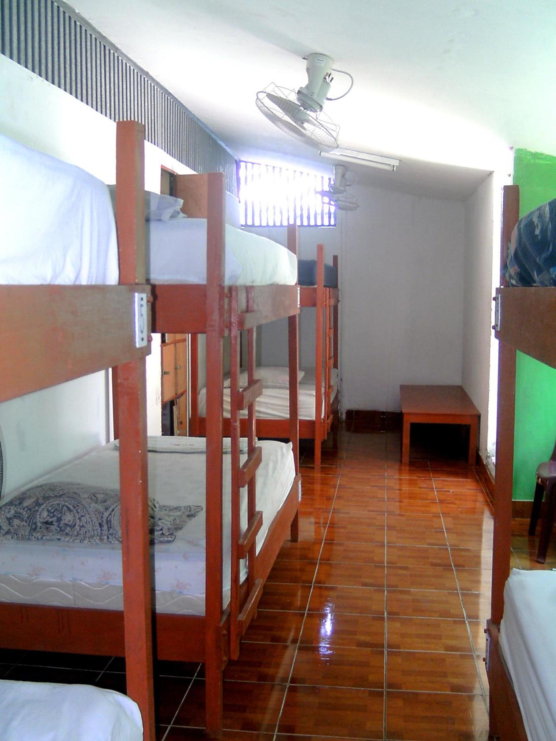 Single Bed in Mixed Dormitory Room photo 1