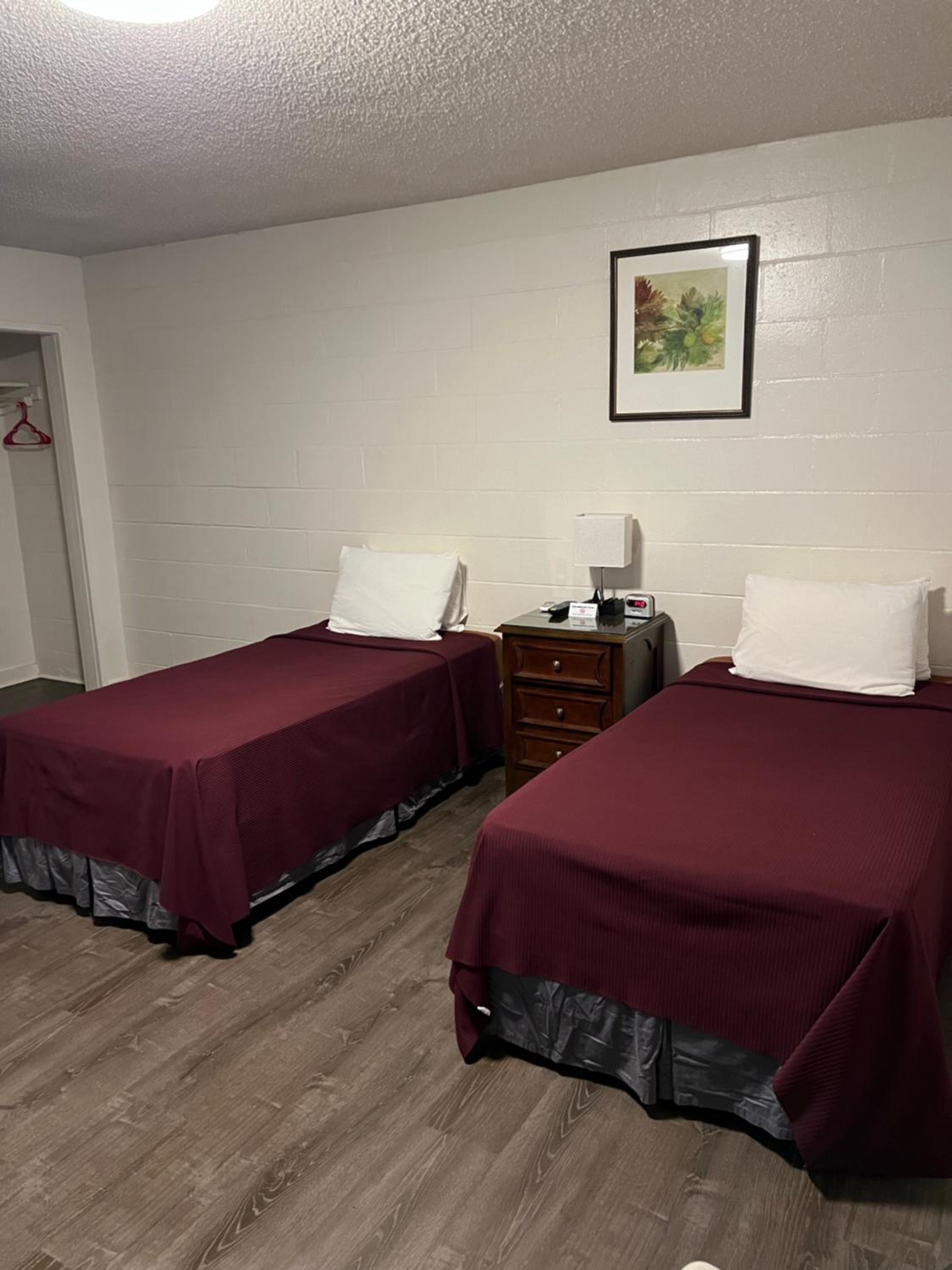Double or Twin Room photo 1