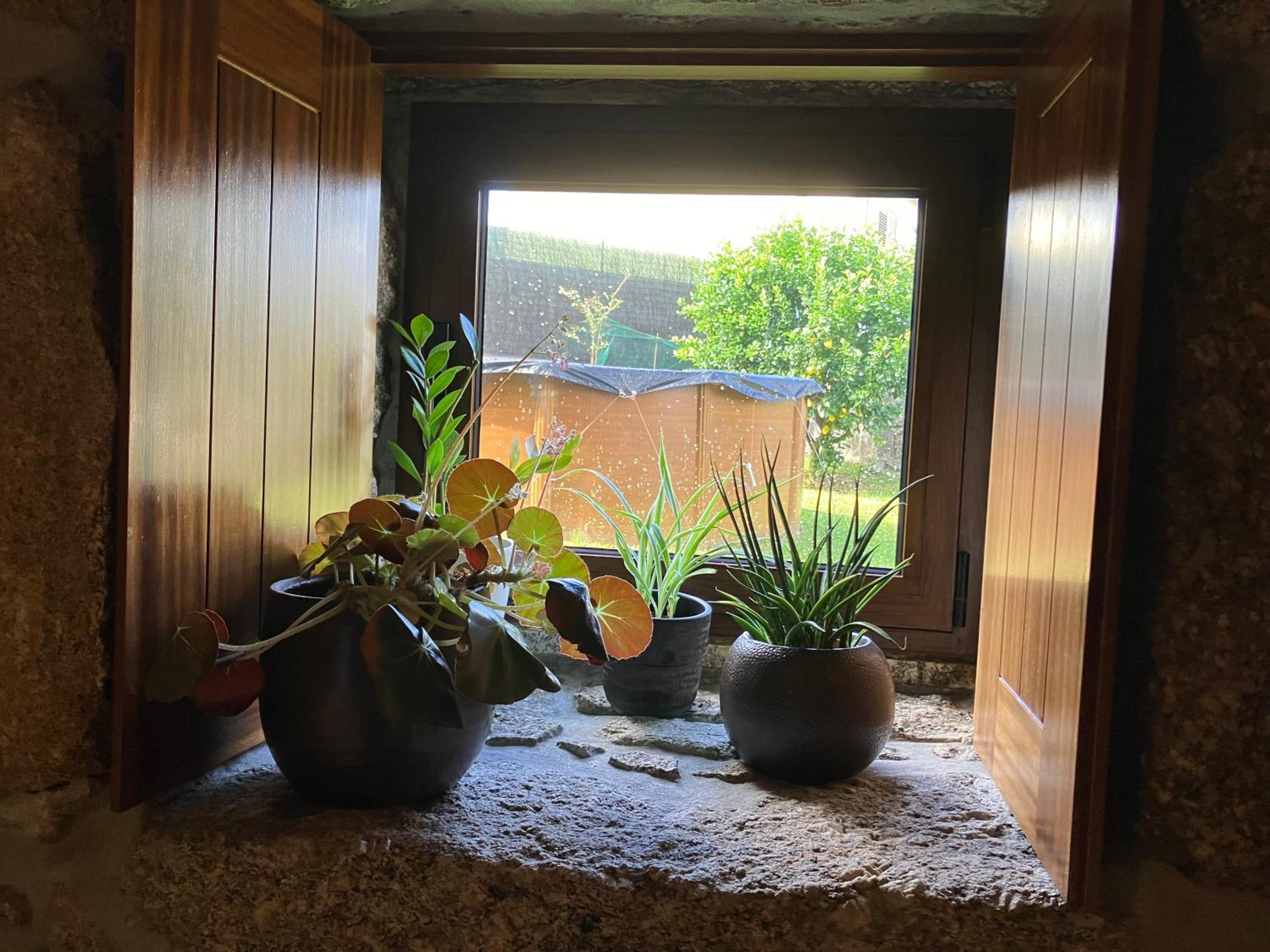 Double Room with Garden View photo 2