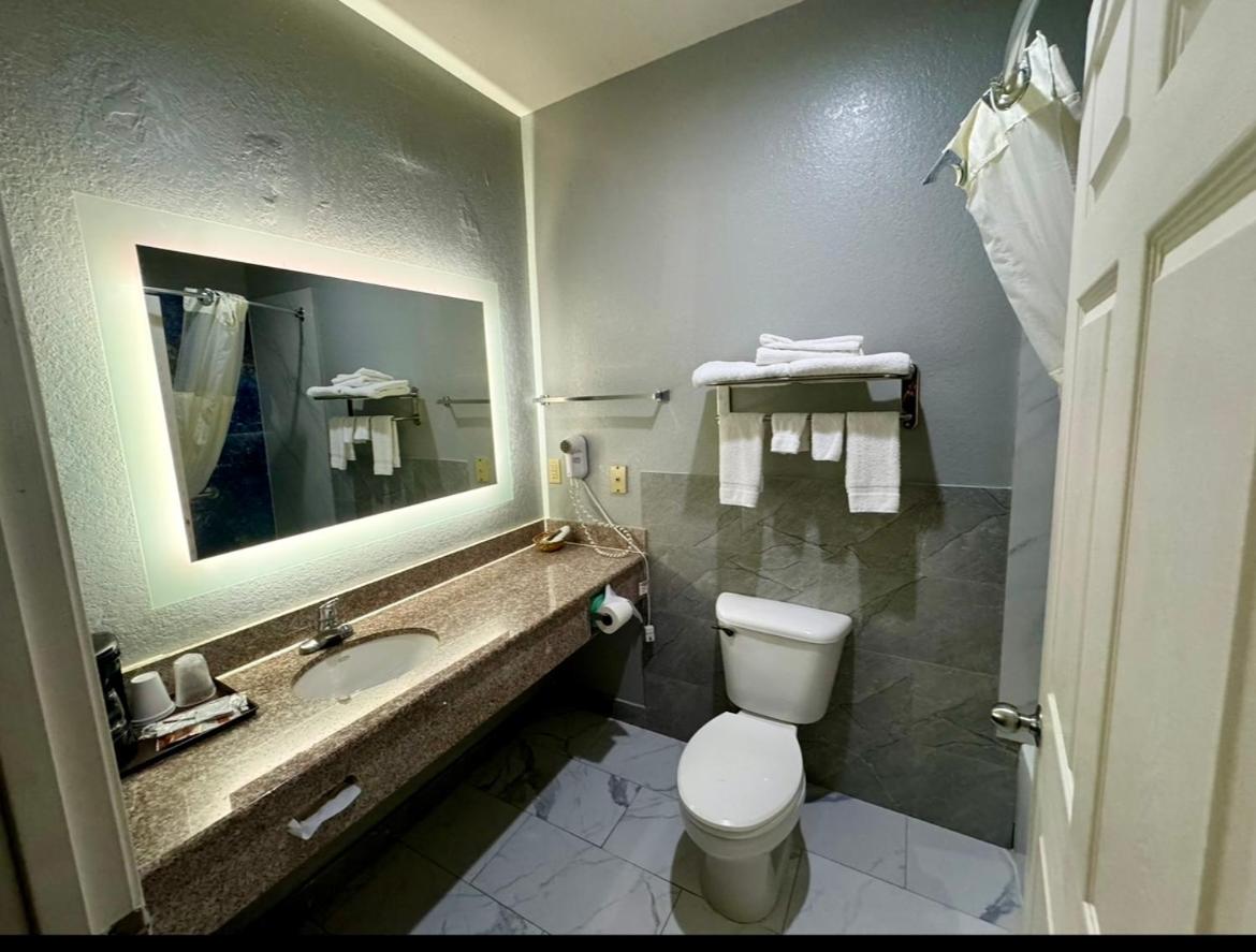 Deluxe King Suite - Non-Smoking - Photo 6