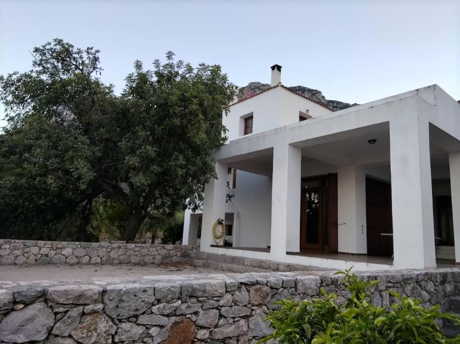 Villa photo 3