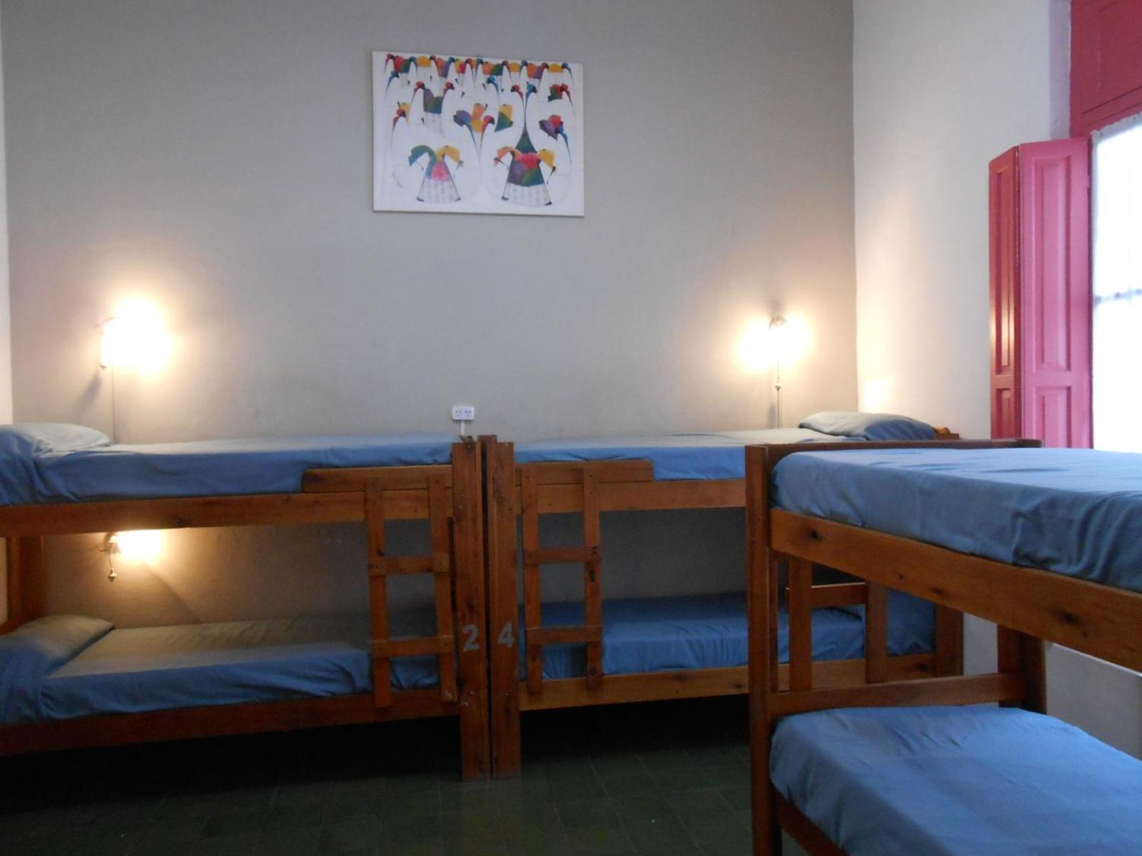 Single Bed in Dormitory Room photo 2