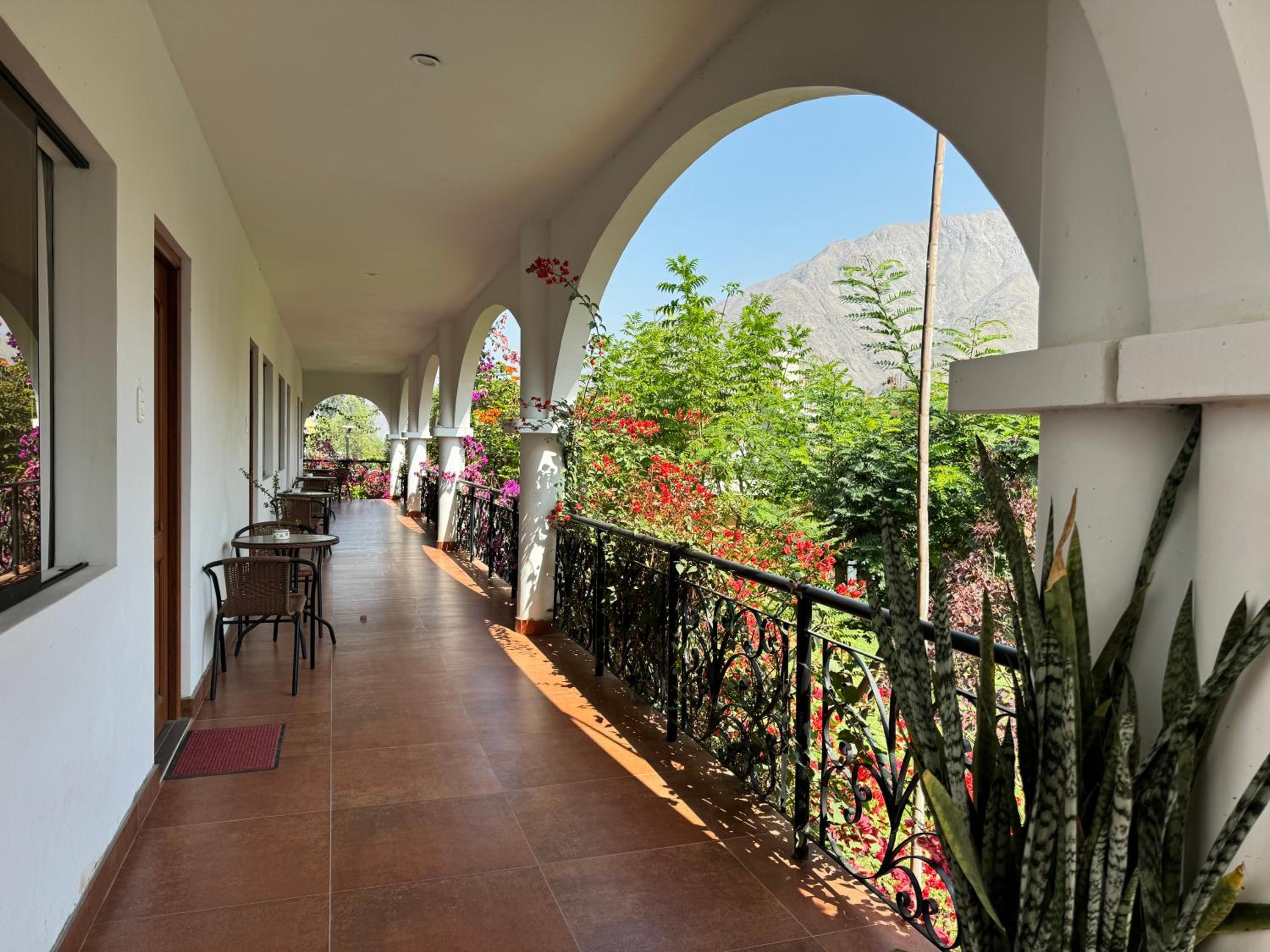 Double Room with Garden View photo 2