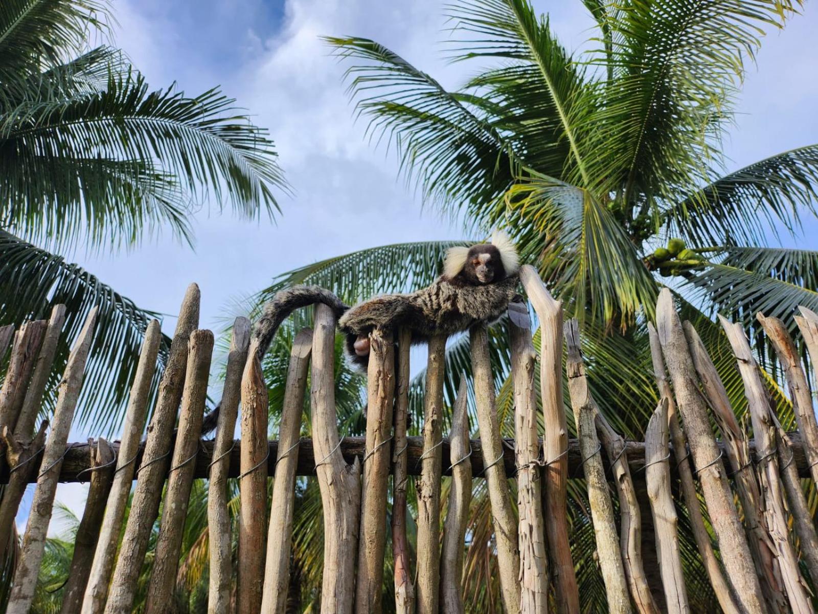 Three-Bedroom House photo 2