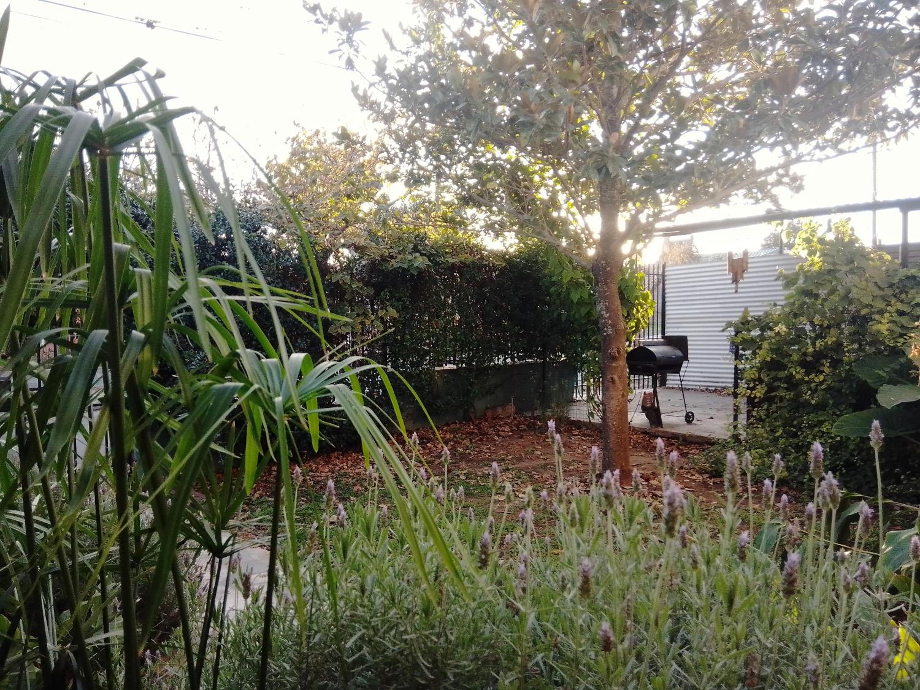 Apartment - Ground Floor photo 2