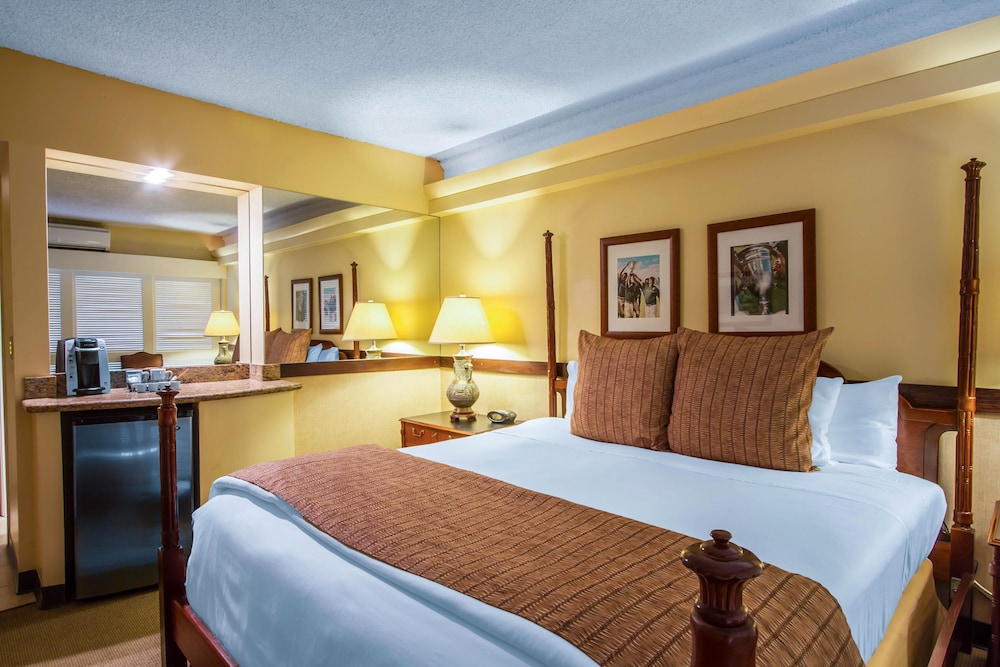Classic Room, 1 King Bed, City View