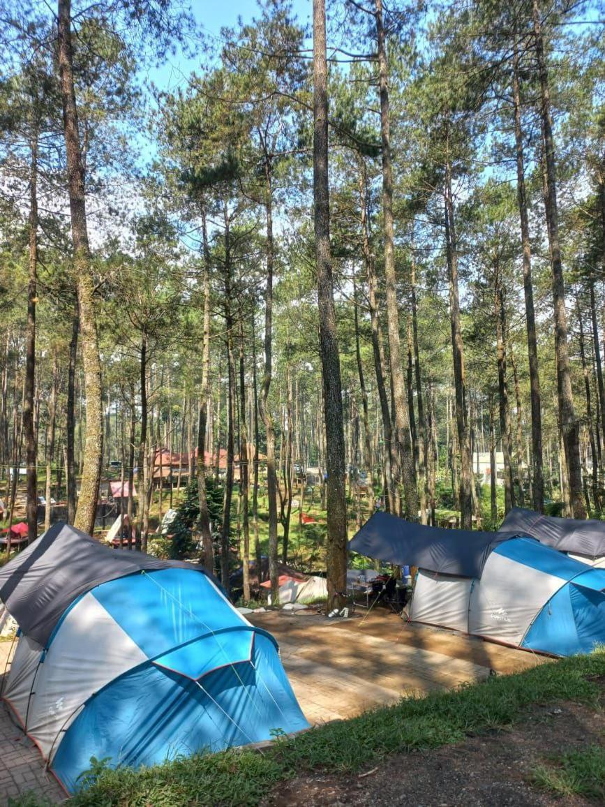 Tent photo 2